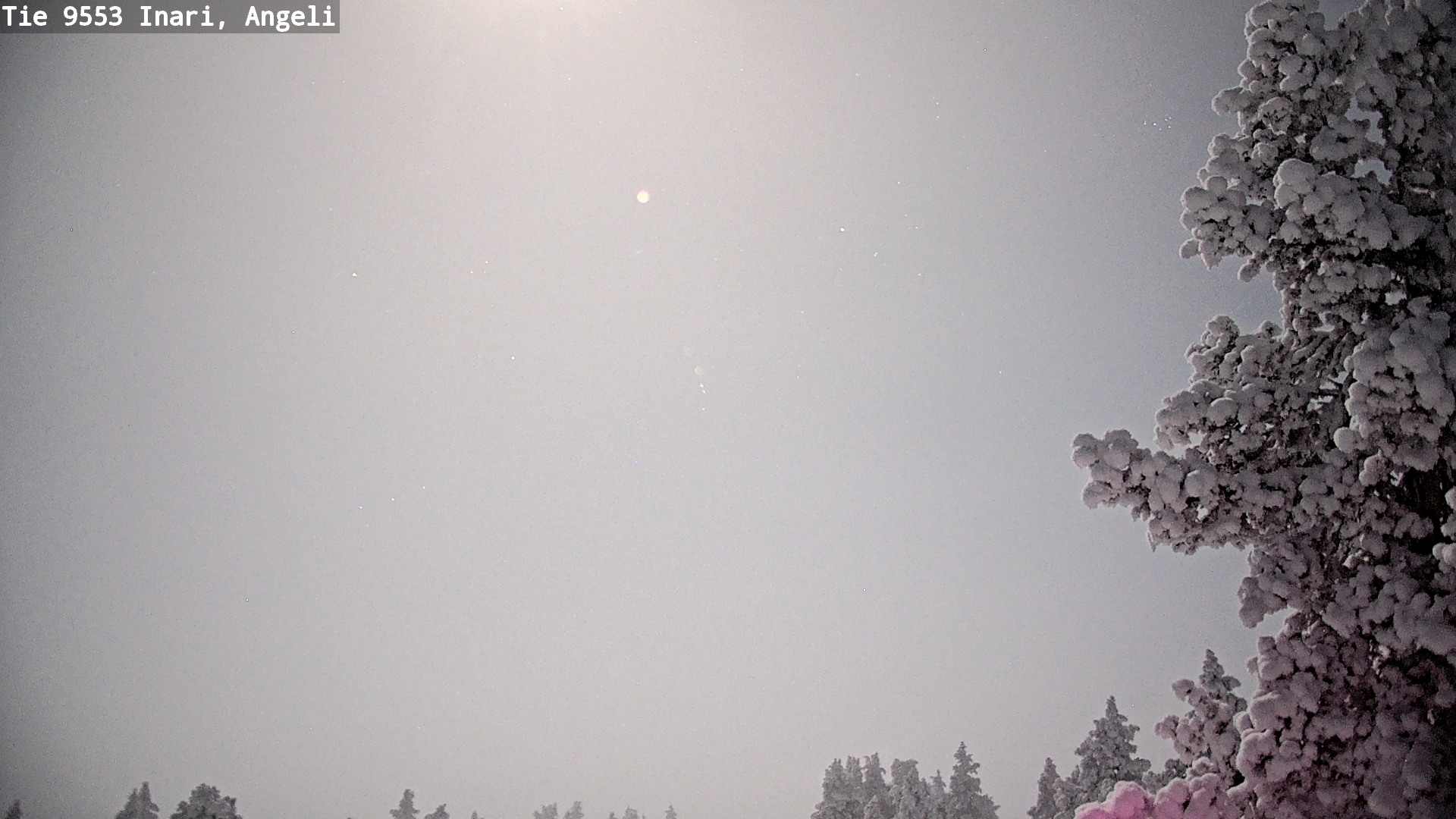 Kelikamerat Kuva Tie 9553 Inari, Angeli, Lintupuolivaara, Inari, Lappi