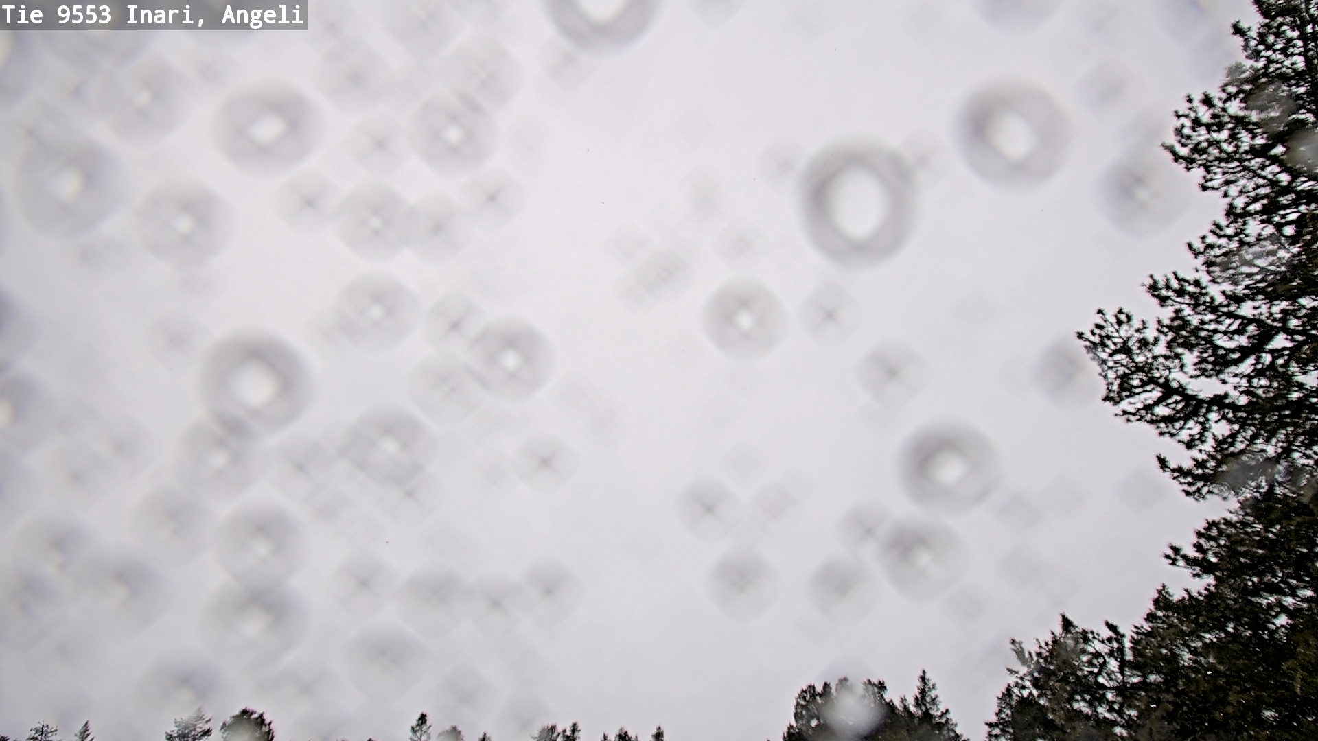 Kelikamerat Kuva Tie 9553 Inari, Angeli, Lintupuolivaara, Inari, Lappi