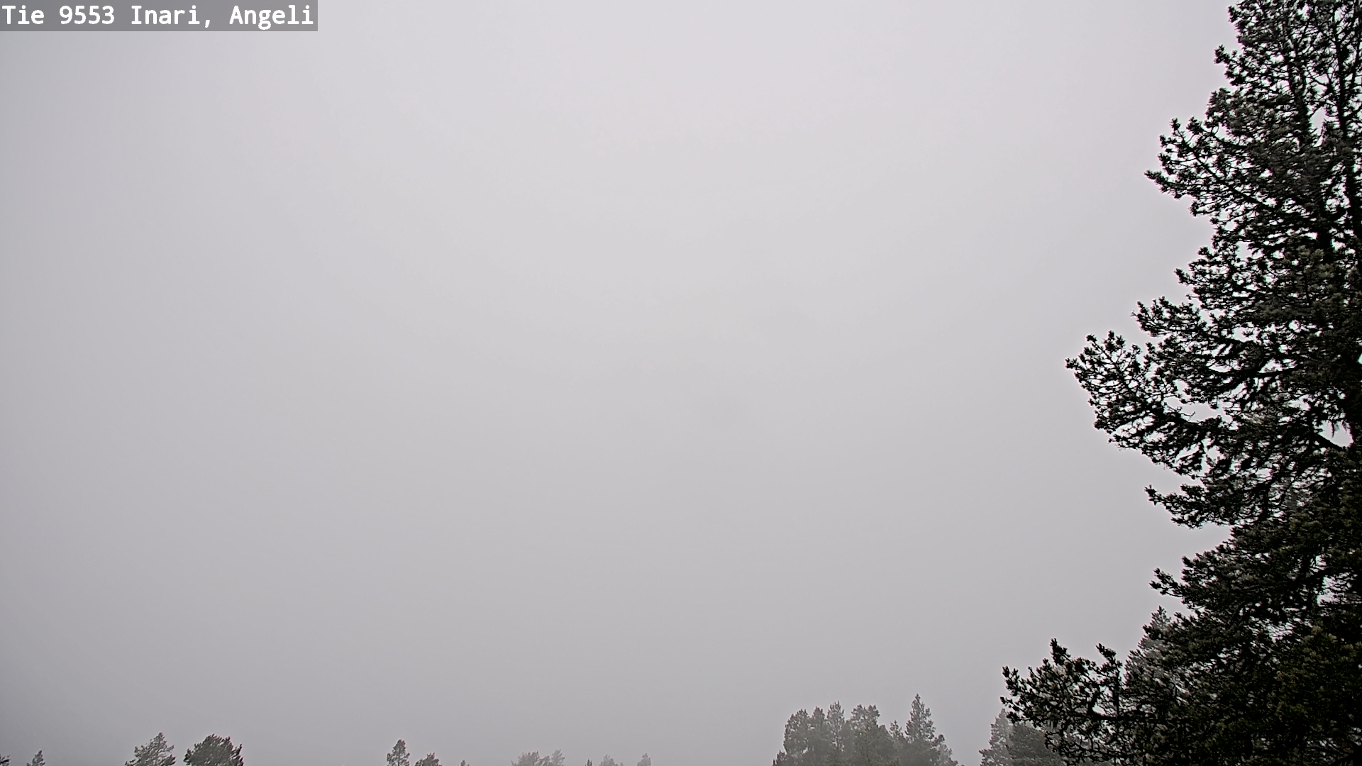 Weather Camera Image Road 9553 Inari, Angeli, Lintupuolivaara, Inari, Lappi
