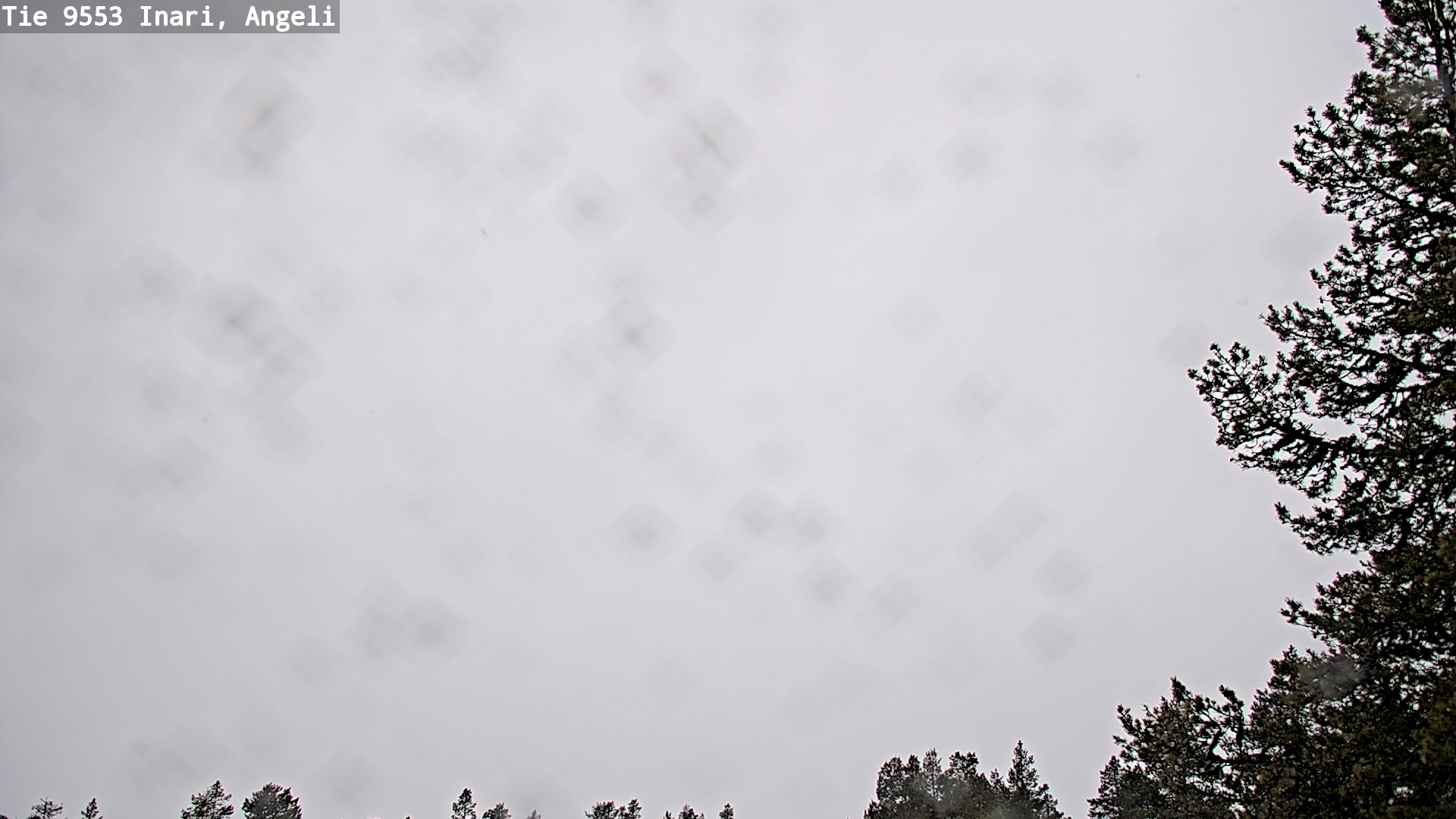 Kelikamerat Kuva Tie 9553 Inari, Angeli, Lintupuolivaara, Inari, Lappi