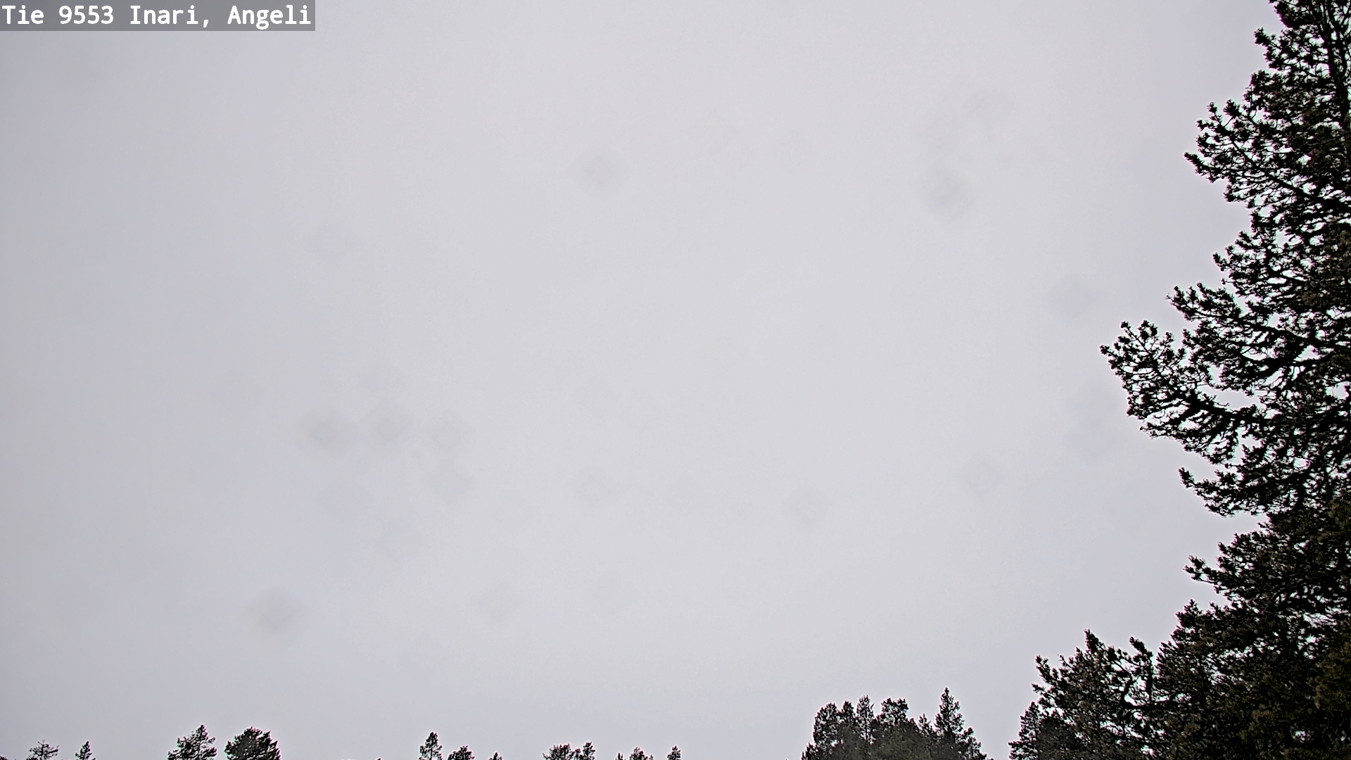 Kelikamerat Kuva Tie 9553 Inari, Angeli, Lintupuolivaara, Inari, Lappi