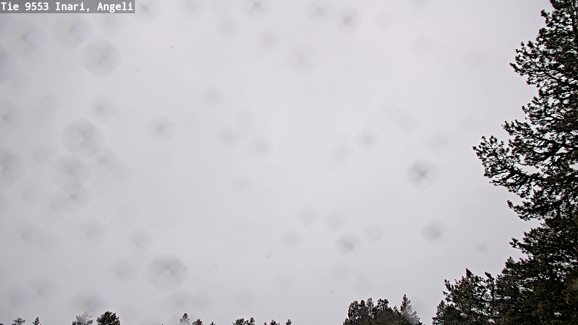 Kelikamerat Kuva Tie 9553 Inari, Angeli, Lintupuolivaara, Inari, Lappi