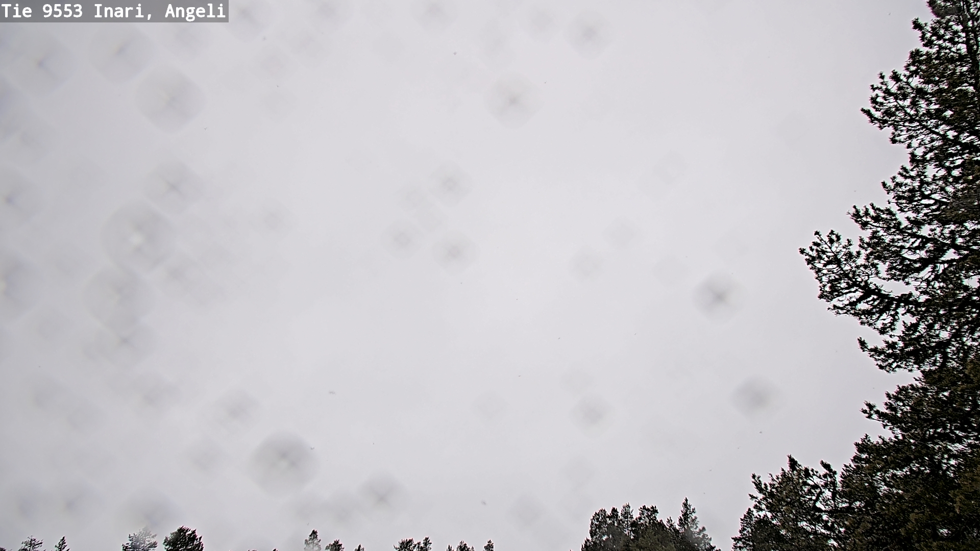 Kelikamerat Kuva Tie 9553 Inari, Angeli, Lintupuolivaara, Inari, Lappi