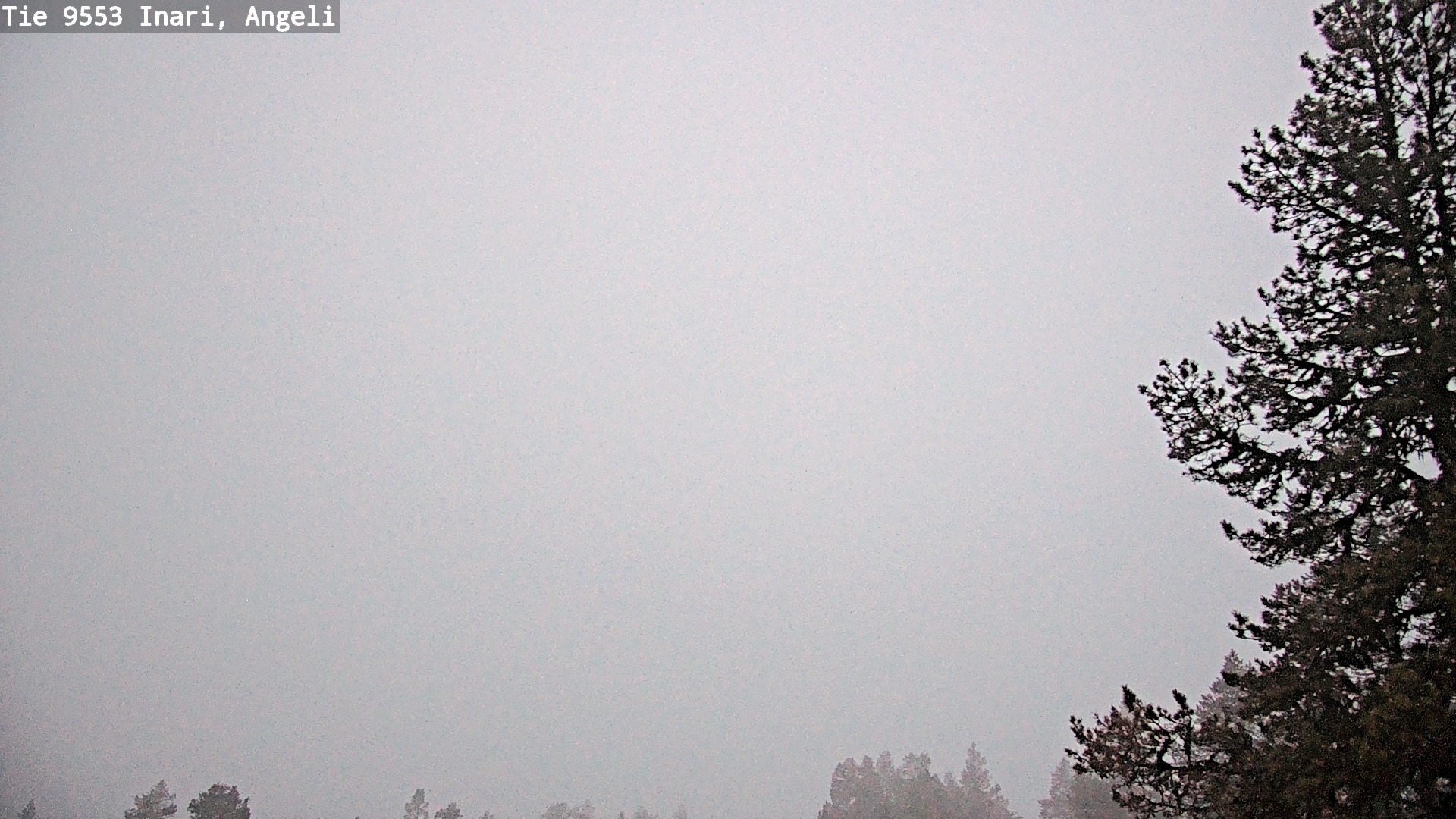 Kelikamerat Kuva Tie 9553 Inari, Angeli, Lintupuolivaara, Inari, Lappi