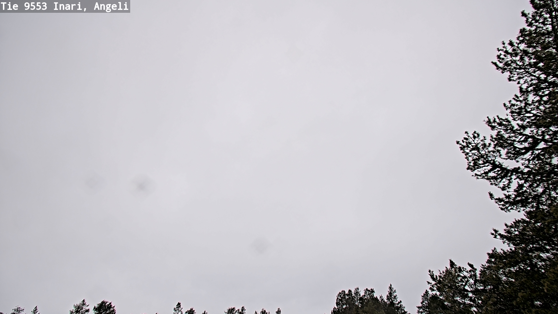 Kelikamerat Kuva Tie 9553 Inari, Angeli, Lintupuolivaara, Inari, Lappi