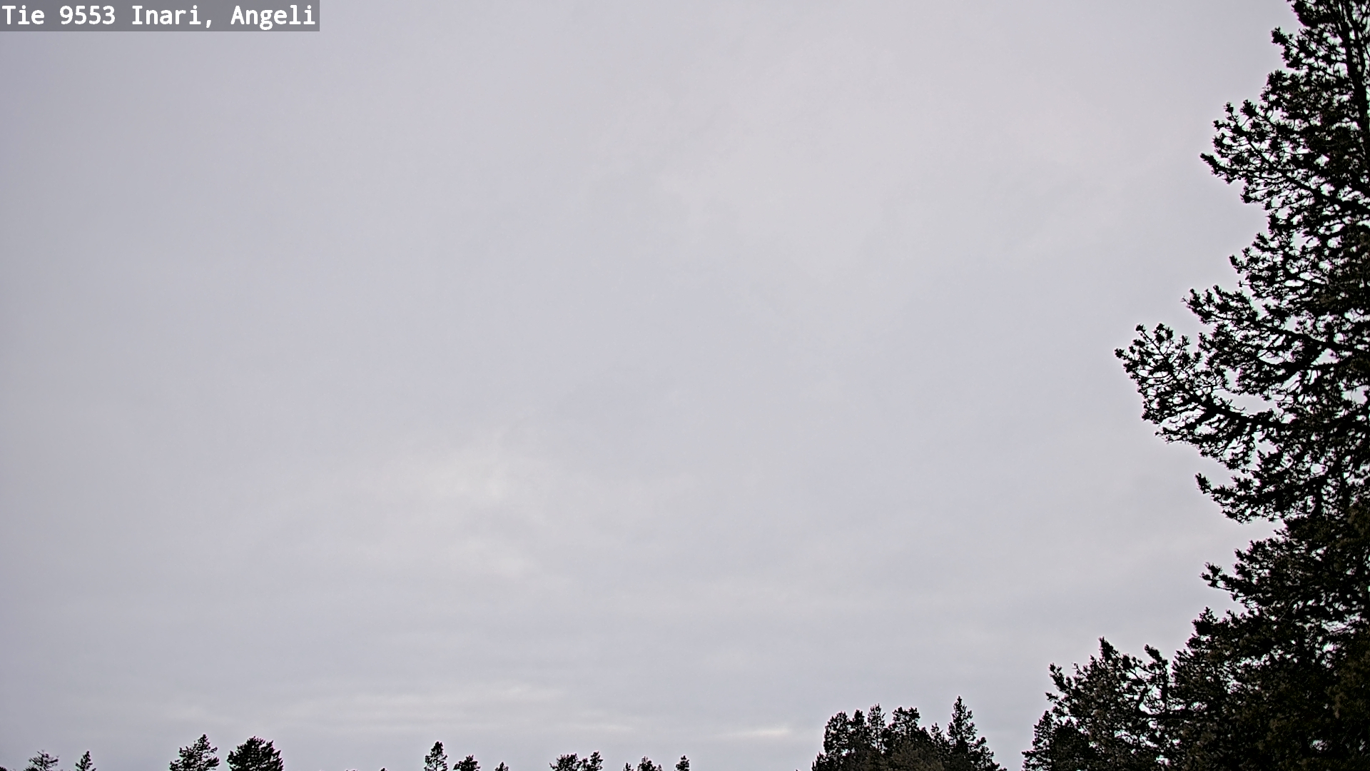 Kelikamerat Kuva Tie 9553 Inari, Angeli, Lintupuolivaara, Inari, Lappi