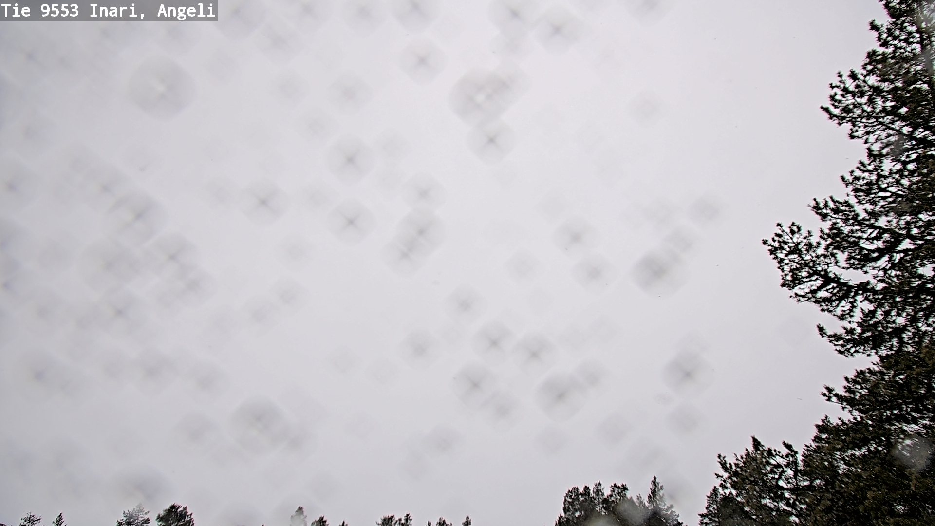 Kelikamerat Kuva Tie 9553 Inari, Angeli, Lintupuolivaara, Inari, Lappi