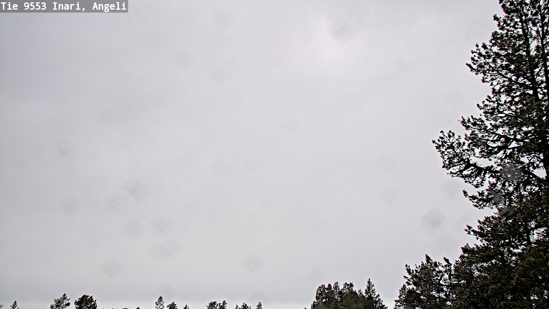 Weather Camera Image Road 9553 Inari, Angeli, Lintupuolivaara, Inari, Lappi