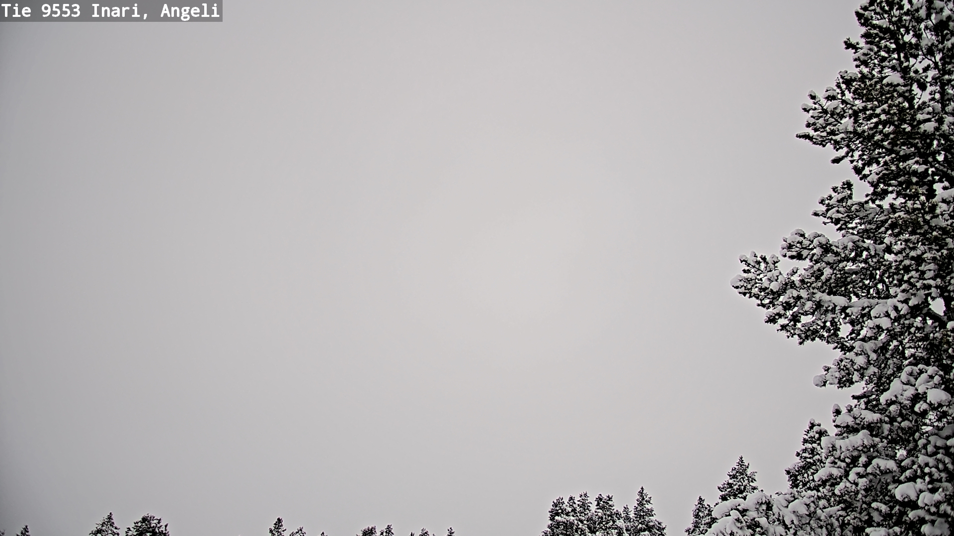 Kelikamerat Kuva Tie 9553 Inari, Angeli, Lintupuolivaara, Inari, Lappi