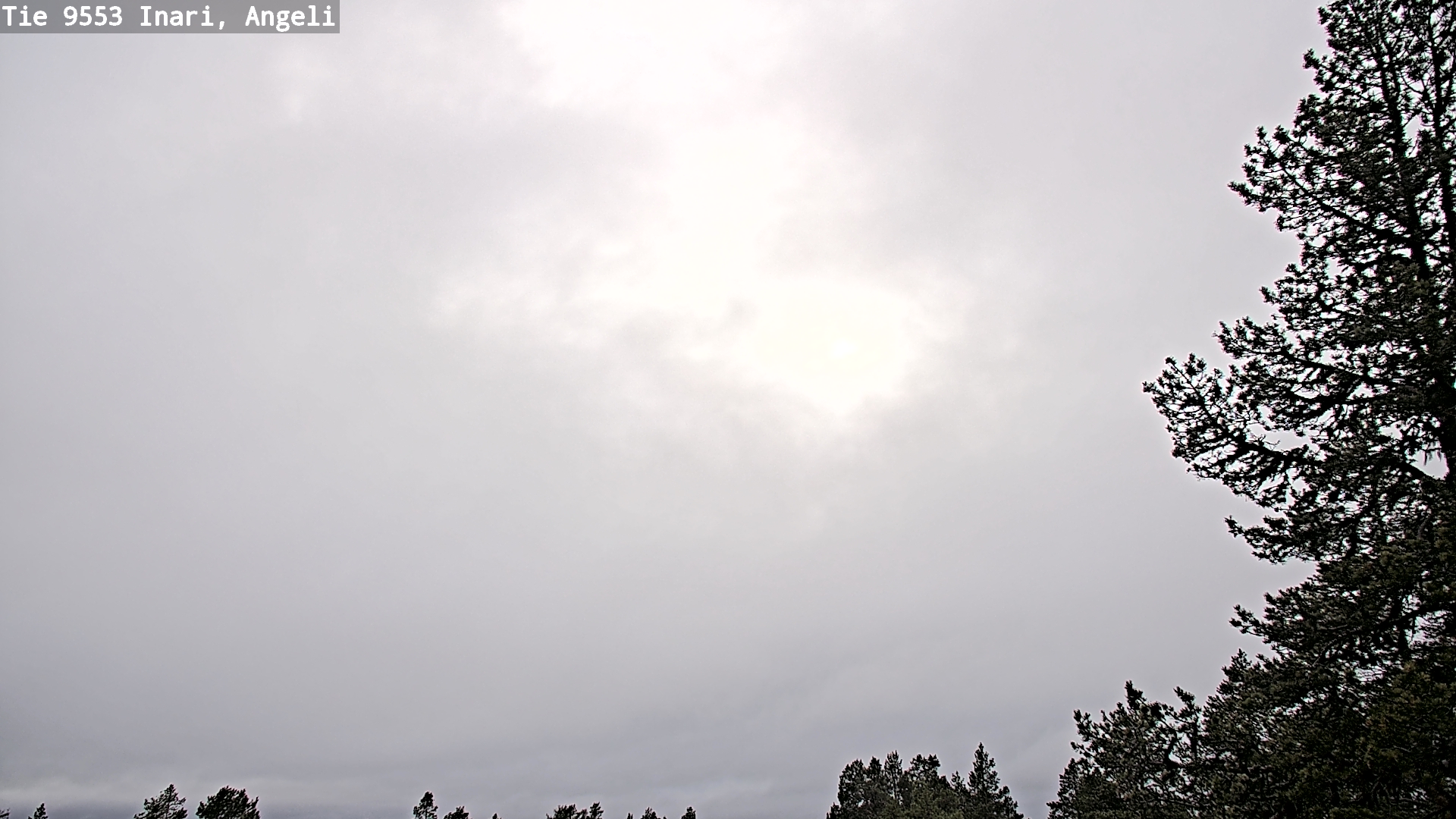 Kelikamerat Kuva Tie 9553 Inari, Angeli, Lintupuolivaara, Inari, Lappi