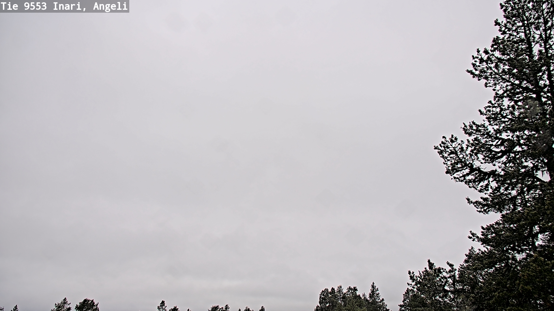 Weather Camera Image Road 9553 Inari, Angeli, Lintupuolivaara, Inari, Lappi