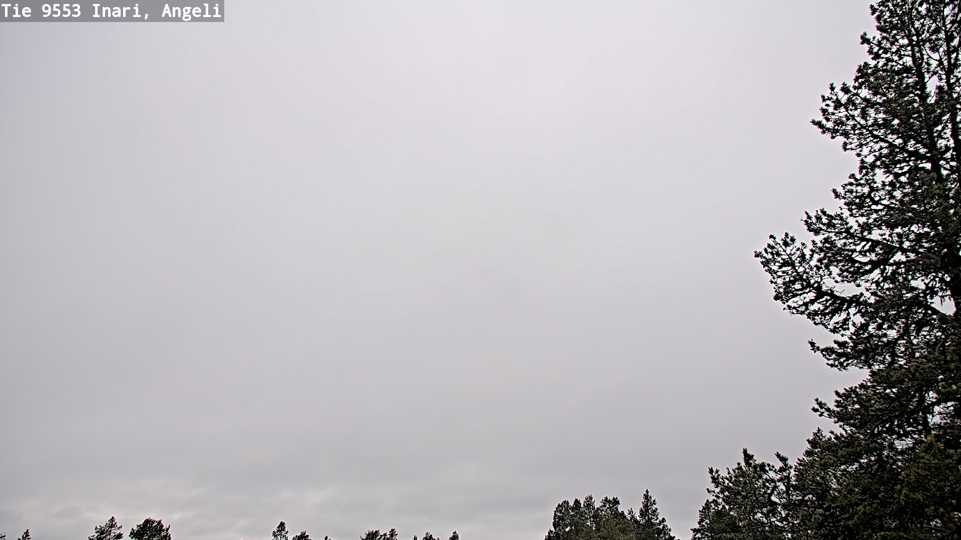 Kelikamerat Kuva Tie 9553 Inari, Angeli, Lintupuolivaara, Inari, Lappi