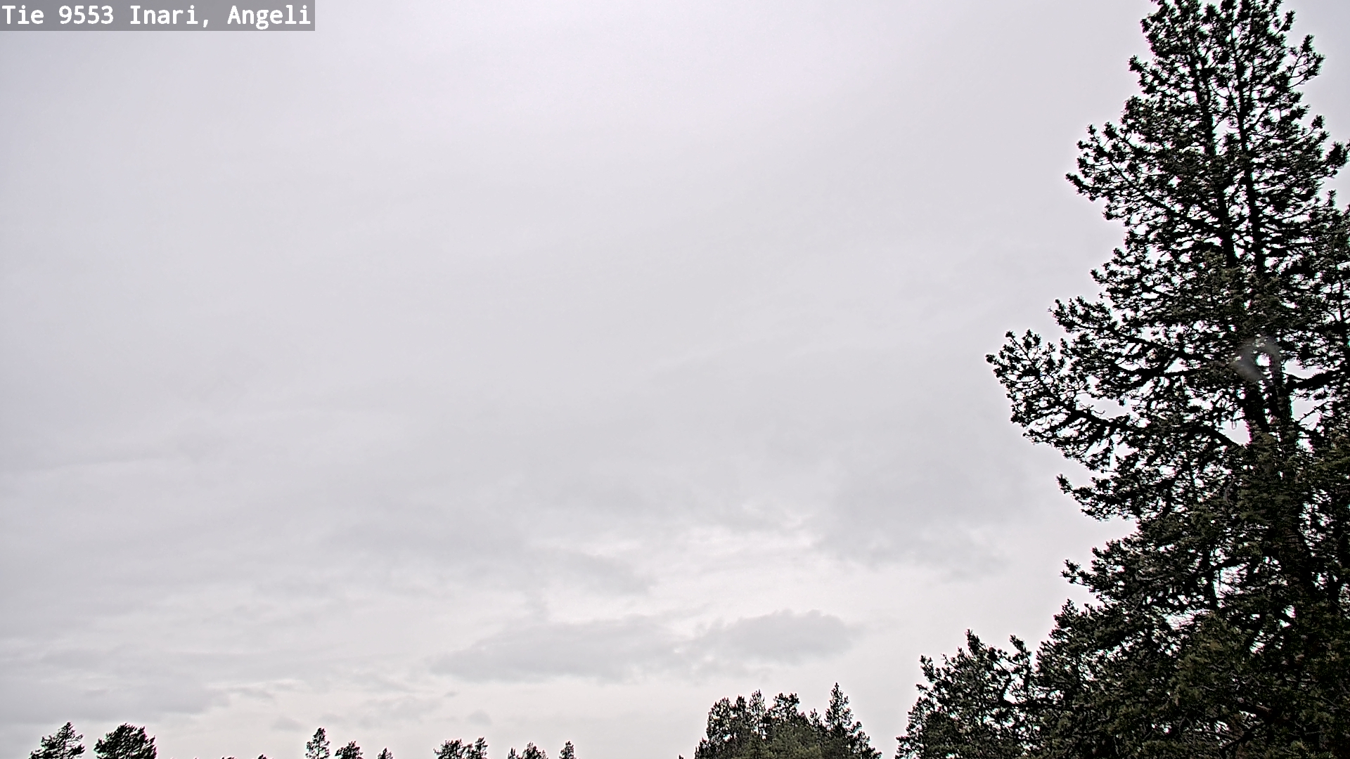Weather Camera Image Väg 9553 Inari, Angeli, Lintupuolivaara, Inari, Lappi