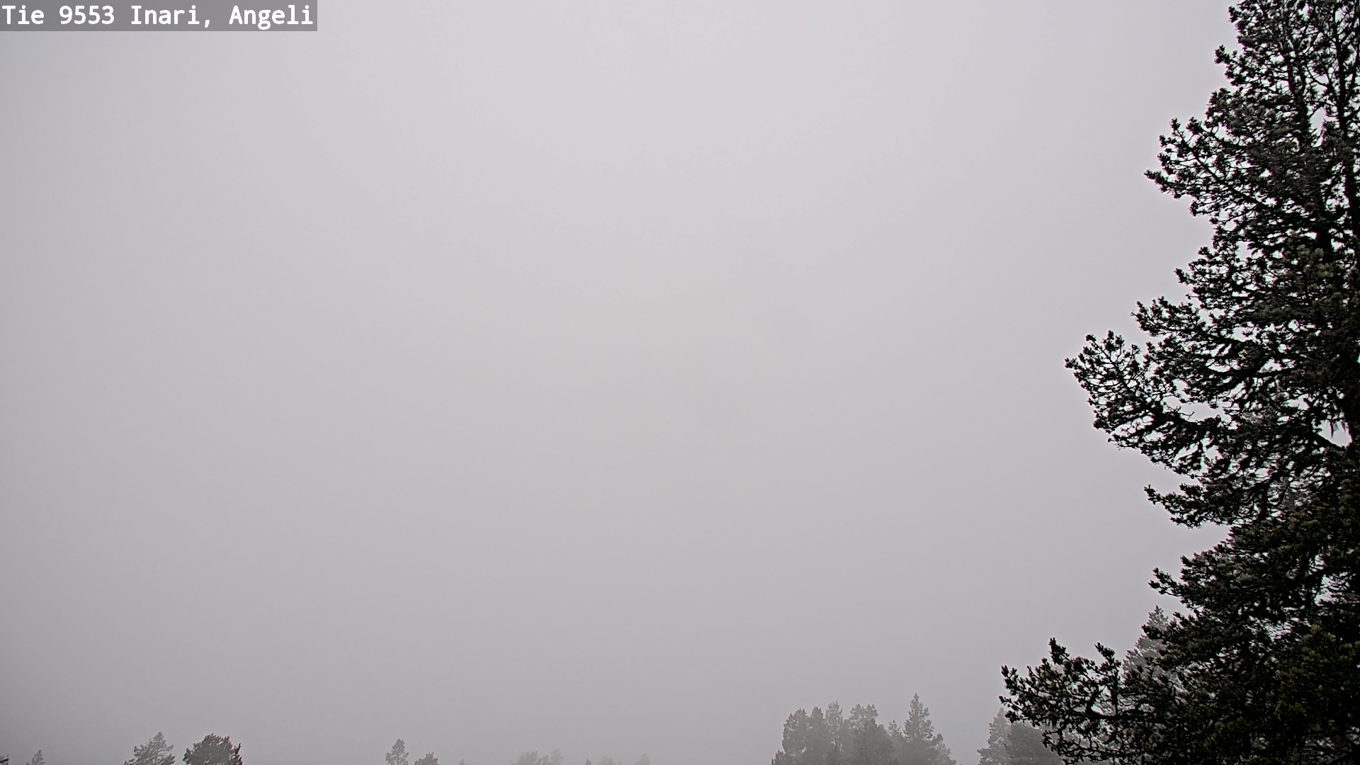 Weather Camera Image Road 9553 Inari, Angeli, Lintupuolivaara, Inari, Lappi