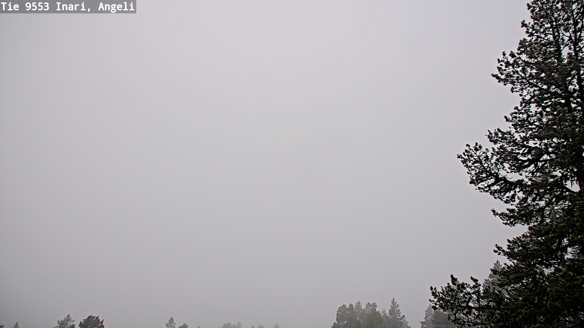 Weather Camera Image Road 9553 Inari, Angeli, Lintupuolivaara, Inari, Lappi