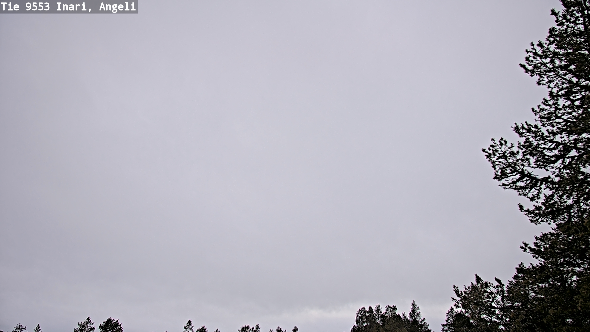 Weather Camera Image Väg 9553 Inari, Angeli, Lintupuolivaara, Inari, Lappi