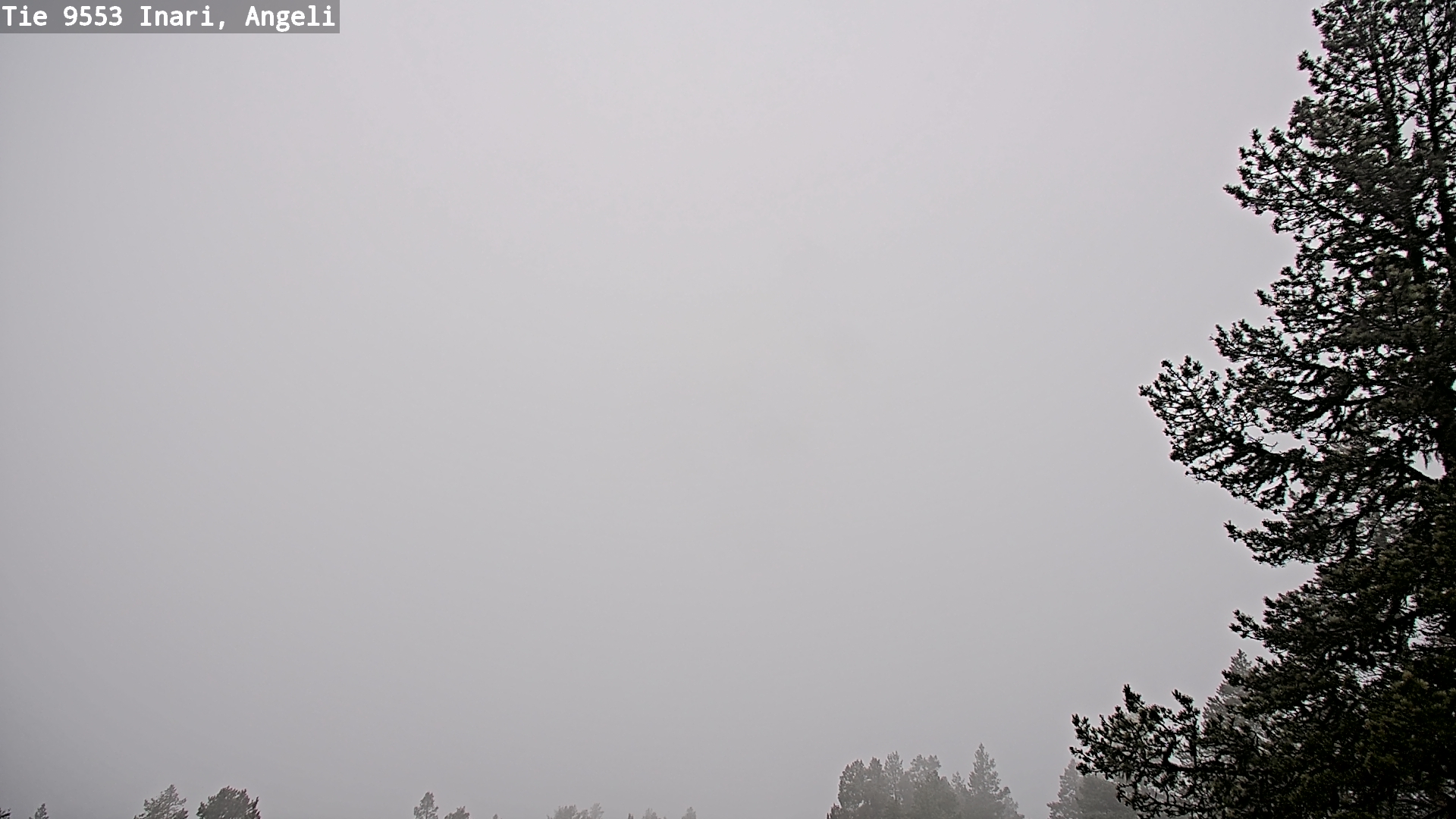 Weather Camera Image Road 9553 Inari, Angeli, Lintupuolivaara, Inari, Lappi