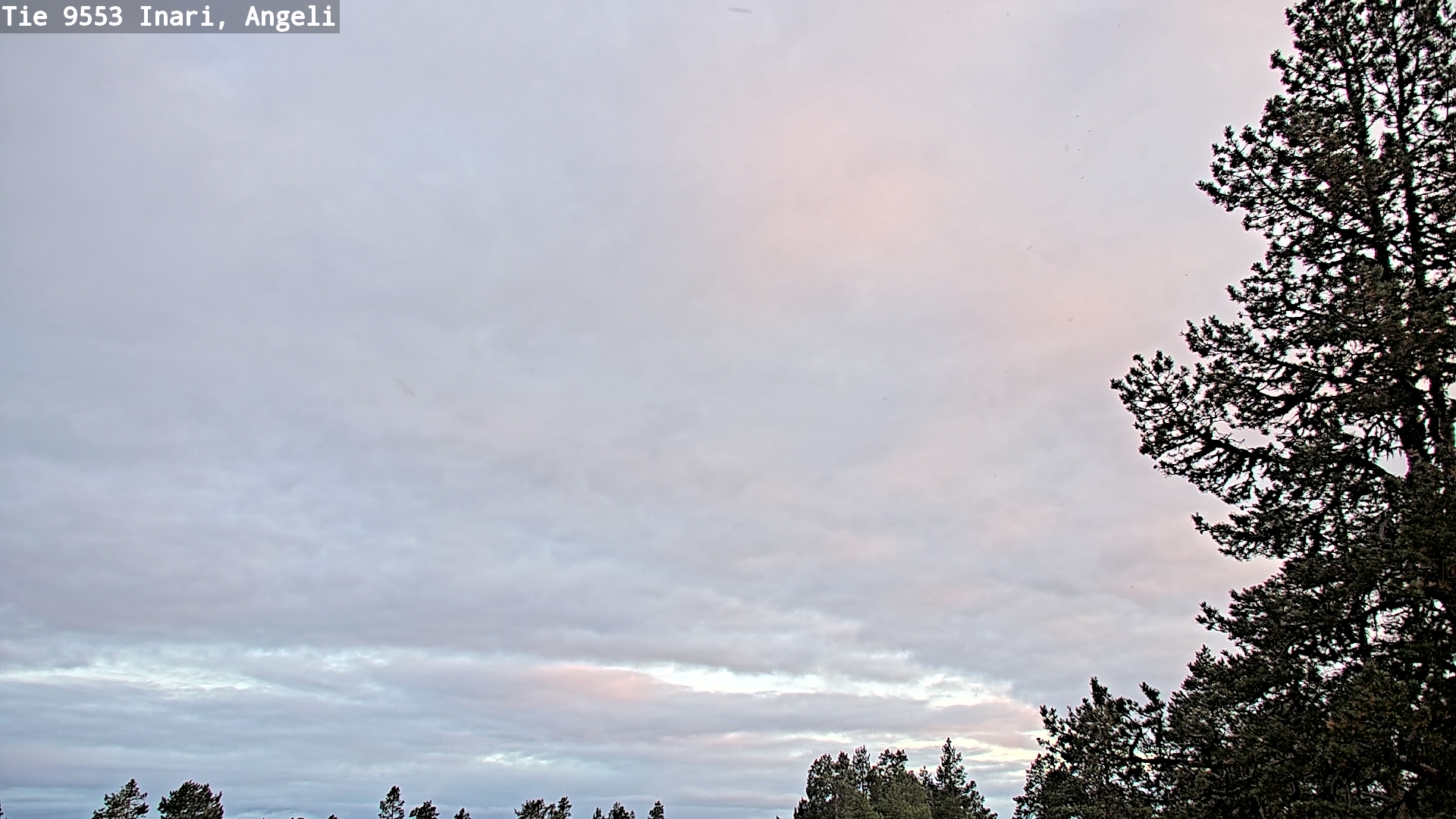 Kelikamerat Kuva Tie 9553 Inari, Angeli, Lintupuolivaara, Inari, Lappi