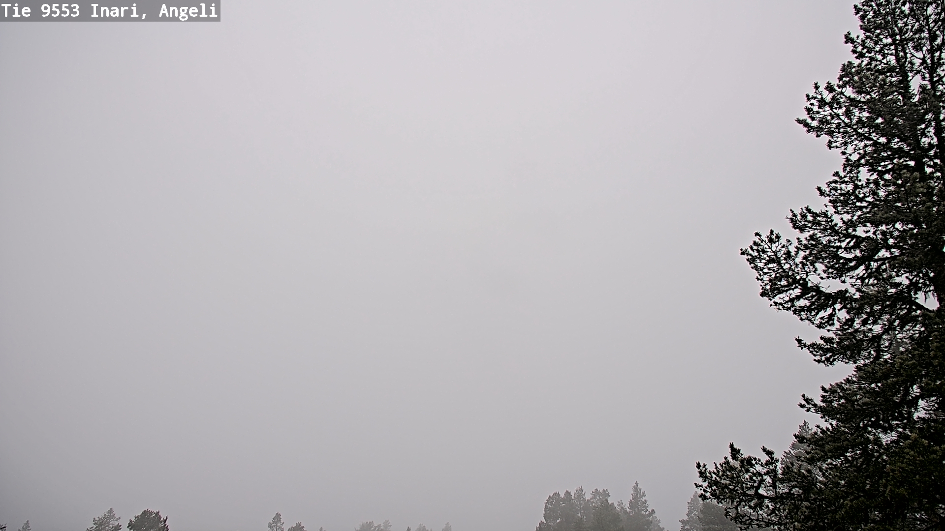 Weather Camera Image Road 9553 Inari, Angeli, Lintupuolivaara, Inari, Lappi