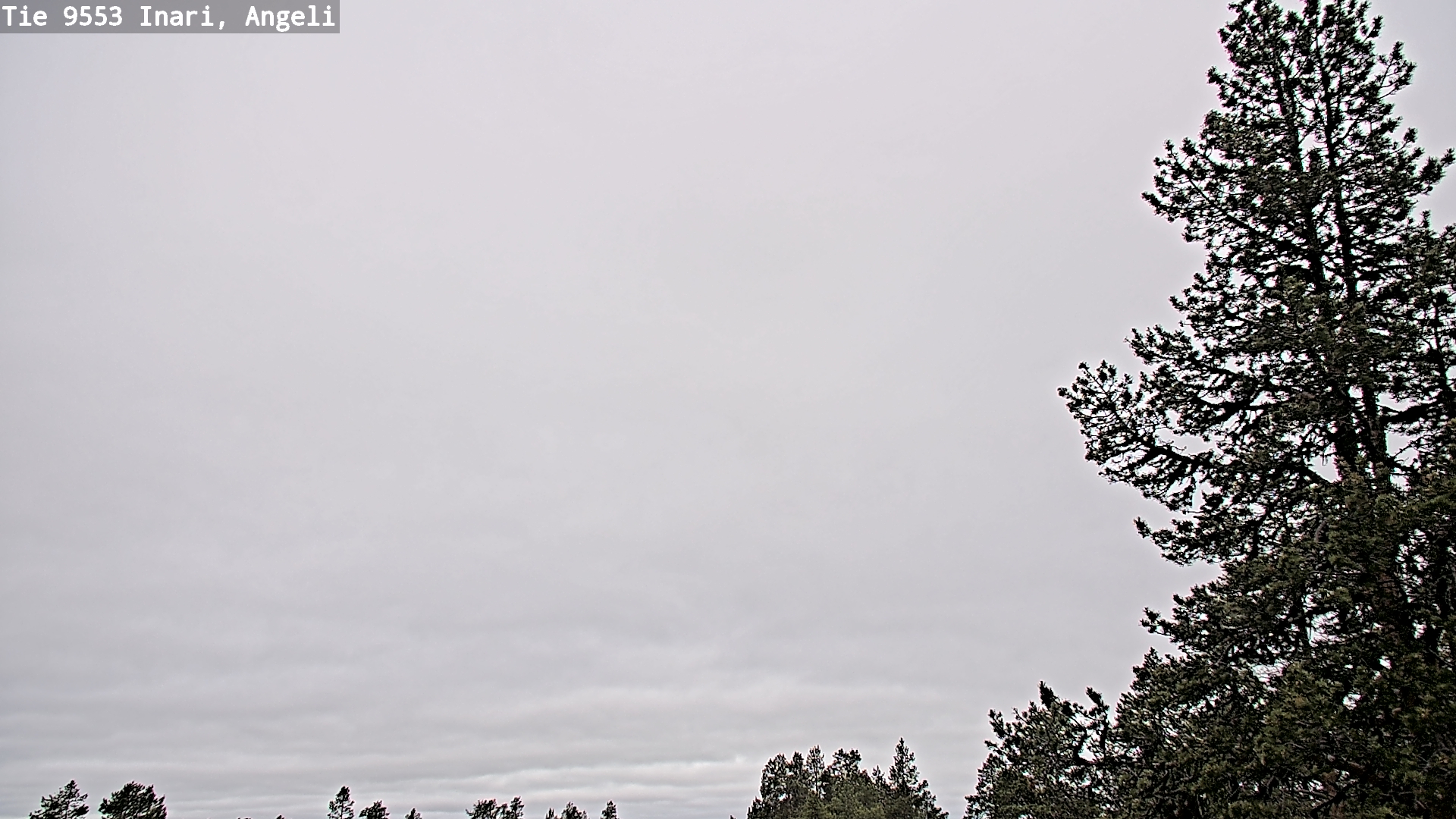 Weather Camera Image Väg 9553 Inari, Angeli, Lintupuolivaara, Inari, Lappi