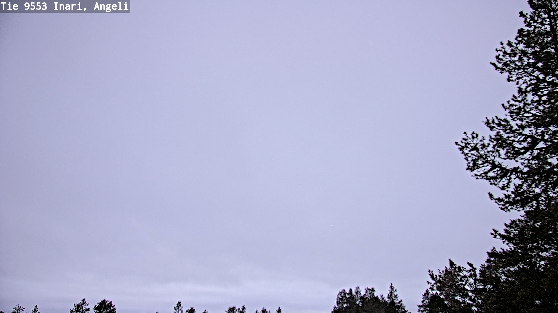 Weather Camera Image Road 9553 Inari, Angeli, Lintupuolivaara, Inari, Lappi