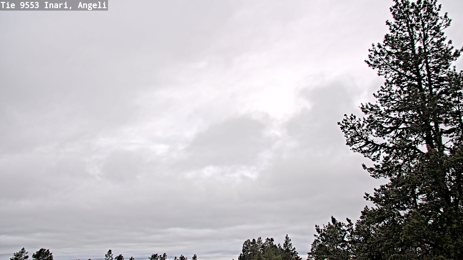 Weather Camera Image Väg 9553 Inari, Angeli, Lintupuolivaara, Inari, Lappi