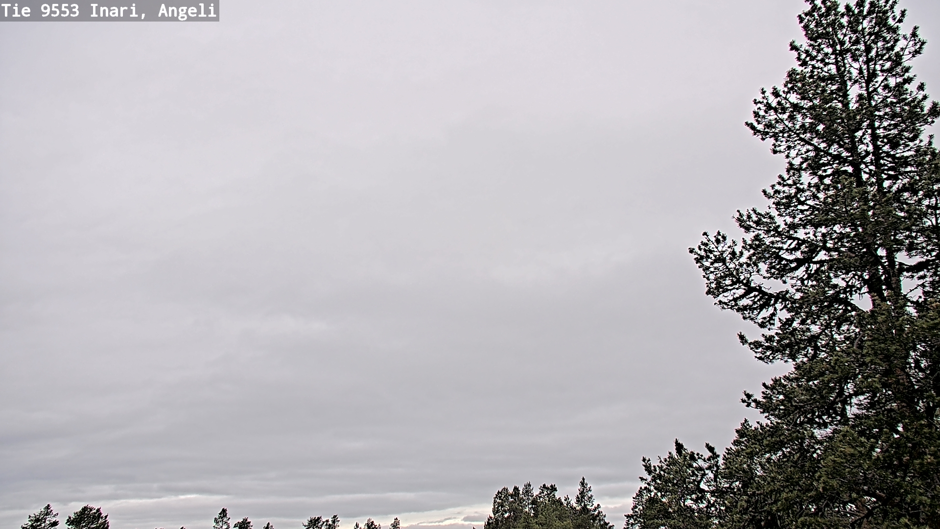 Weather Camera Image Väg 9553 Inari, Angeli, Lintupuolivaara, Inari, Lappi