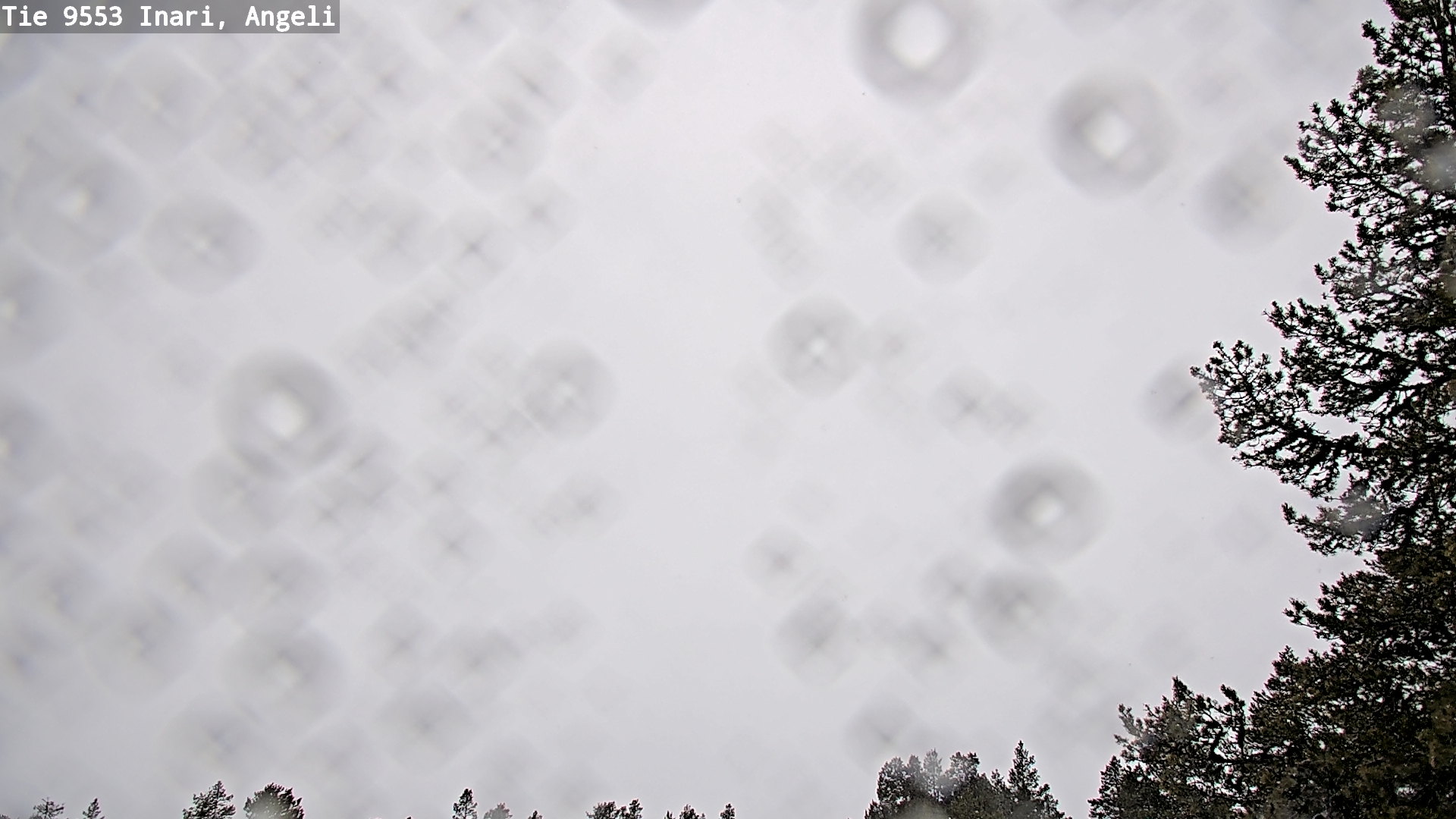 Kelikamerat Kuva Tie 9553 Inari, Angeli, Lintupuolivaara, Inari, Lappi