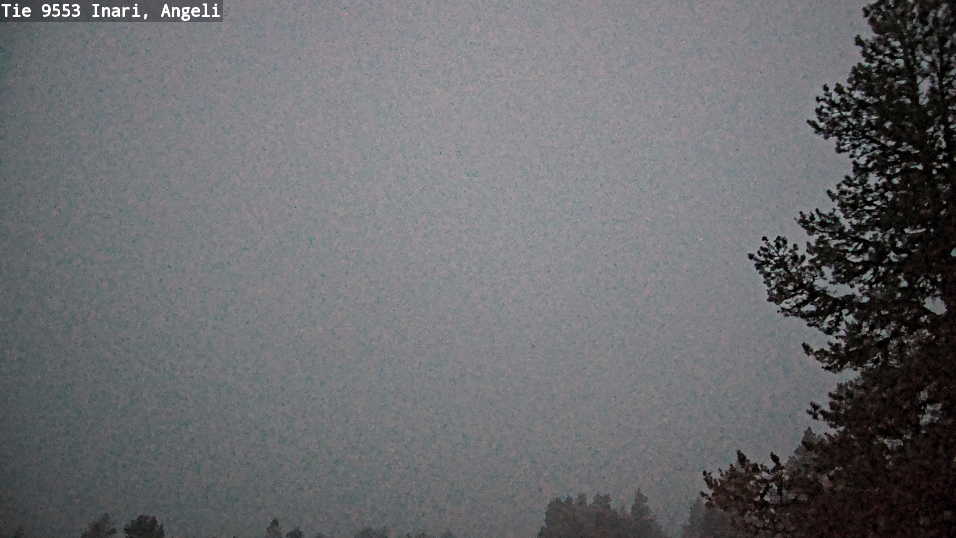 Kelikamerat Kuva Tie 9553 Inari, Angeli, Lintupuolivaara, Inari, Lappi