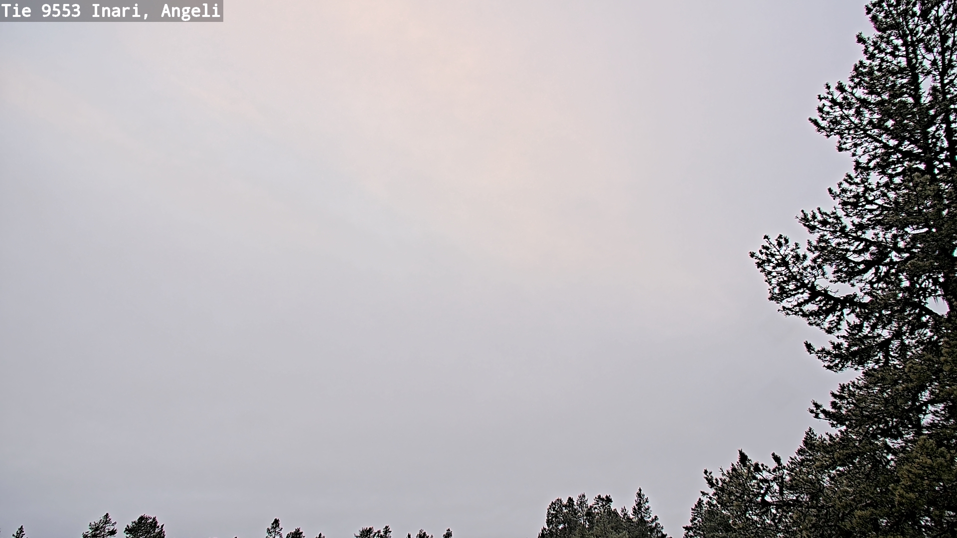 Kelikamerat Kuva Tie 9553 Inari, Angeli, Lintupuolivaara, Inari, Lappi