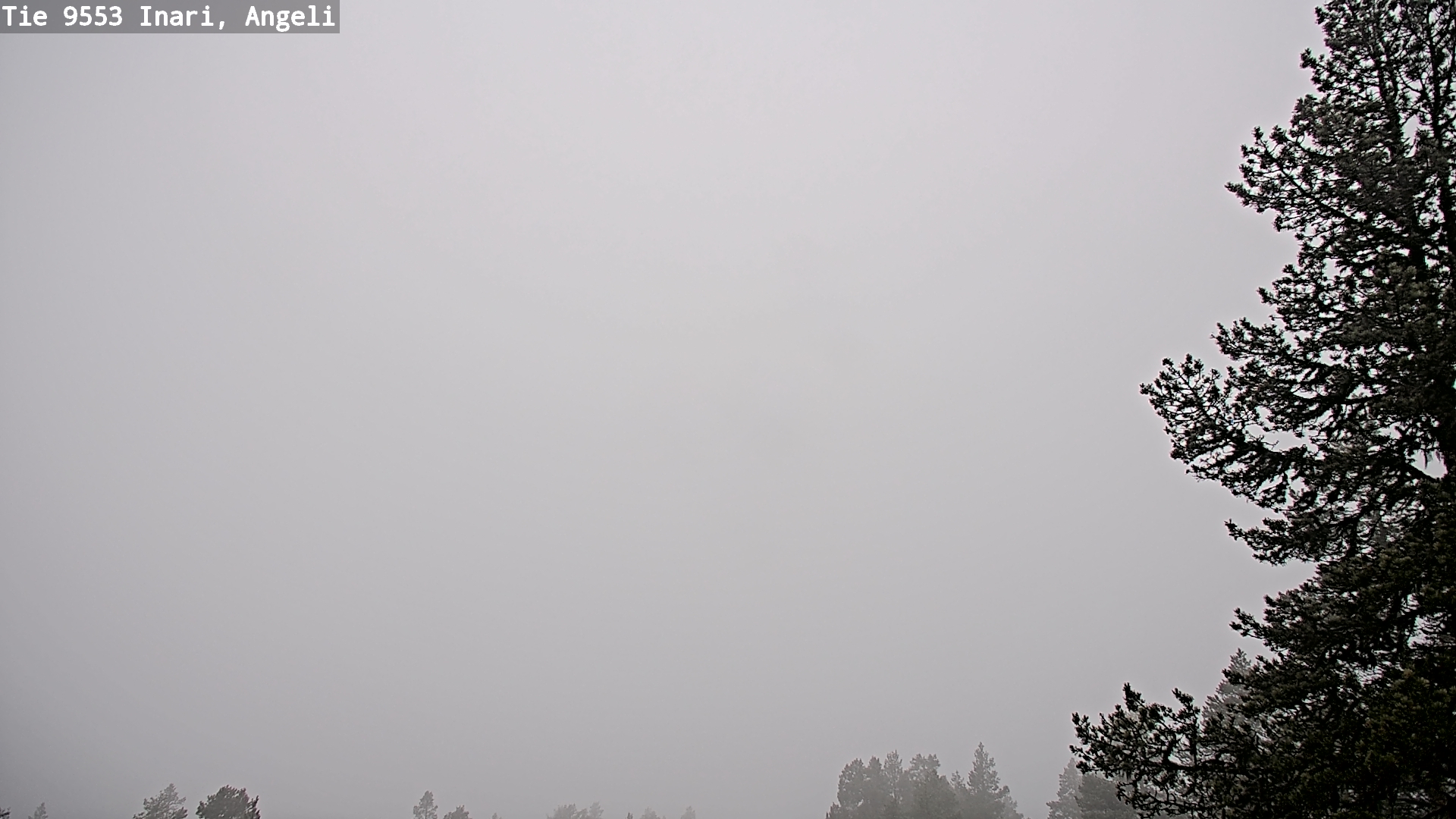 Weather Camera Image Road 9553 Inari, Angeli, Lintupuolivaara, Inari, Lappi
