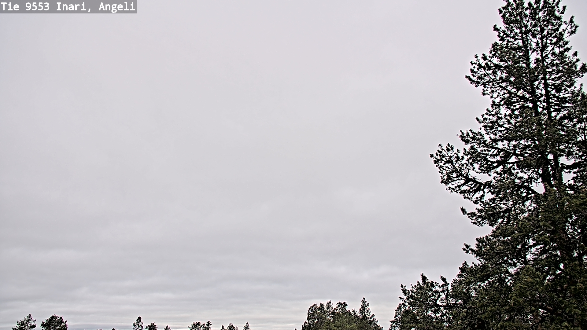 Weather Camera Image Väg 9553 Inari, Angeli, Lintupuolivaara, Inari, Lappi