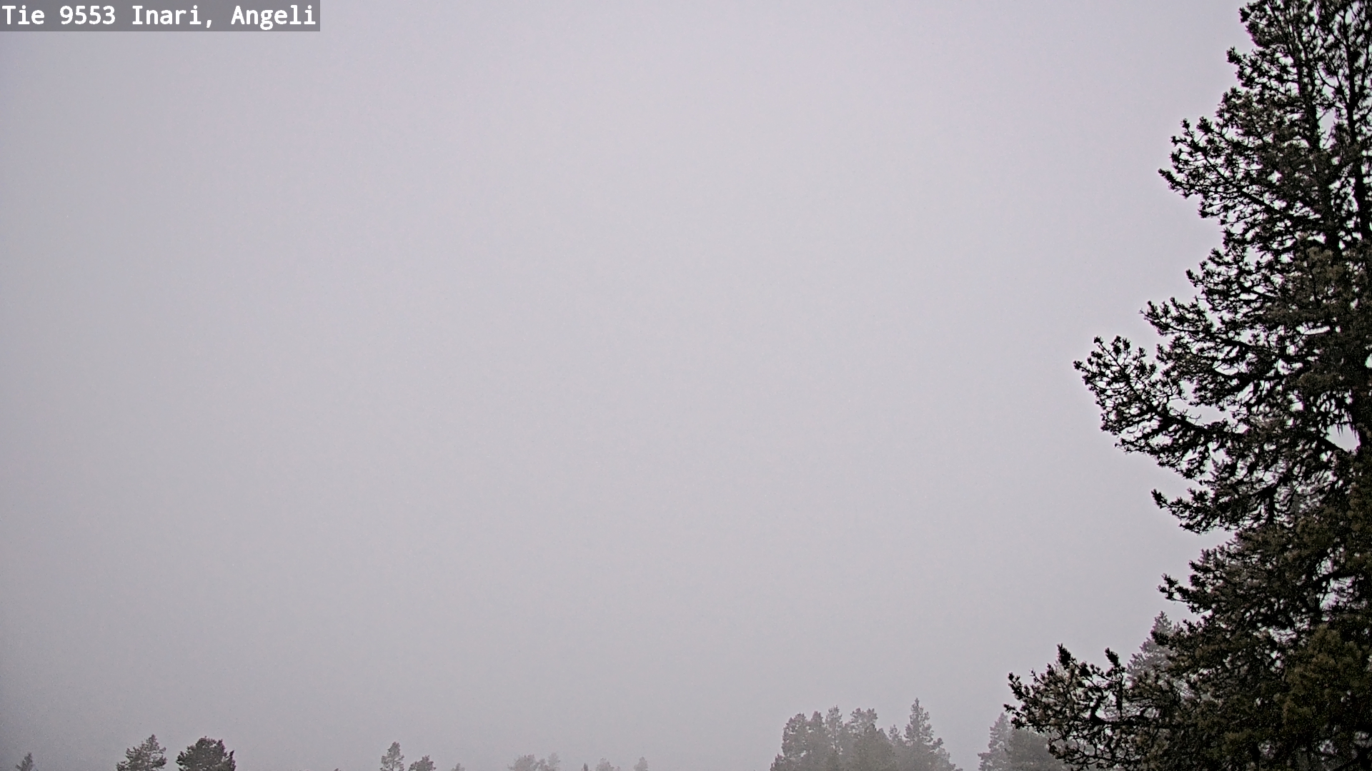 Kelikamerat Kuva Tie 9553 Inari, Angeli, Lintupuolivaara, Inari, Lappi