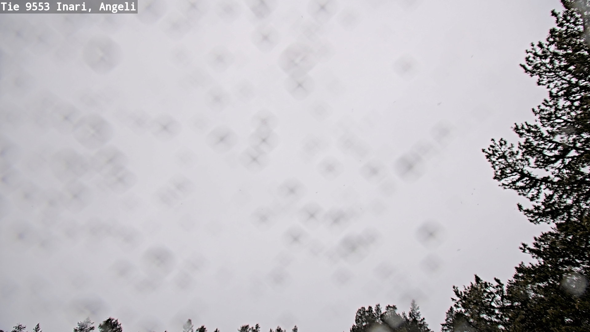 Kelikamerat Kuva Tie 9553 Inari, Angeli, Lintupuolivaara, Inari, Lappi