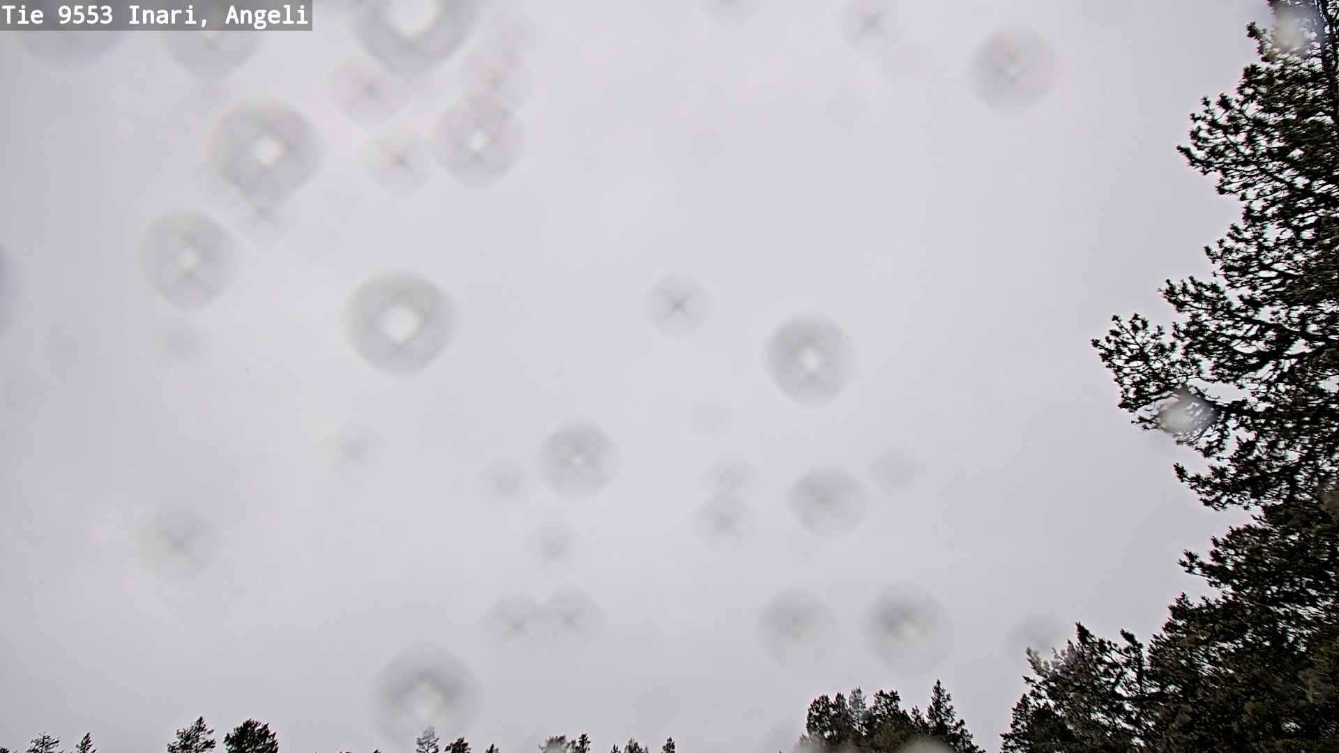 Kelikamerat Kuva Tie 9553 Inari, Angeli, Lintupuolivaara, Inari, Lappi