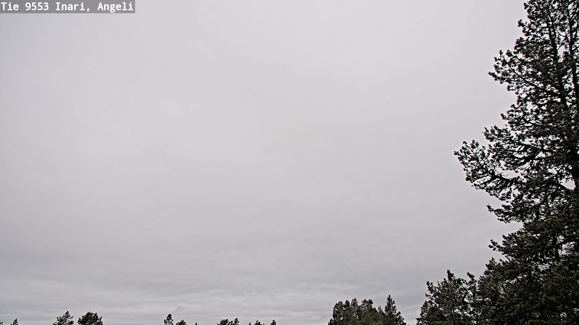 Kelikamerat Kuva Tie 9553 Inari, Angeli, Lintupuolivaara, Inari, Lappi