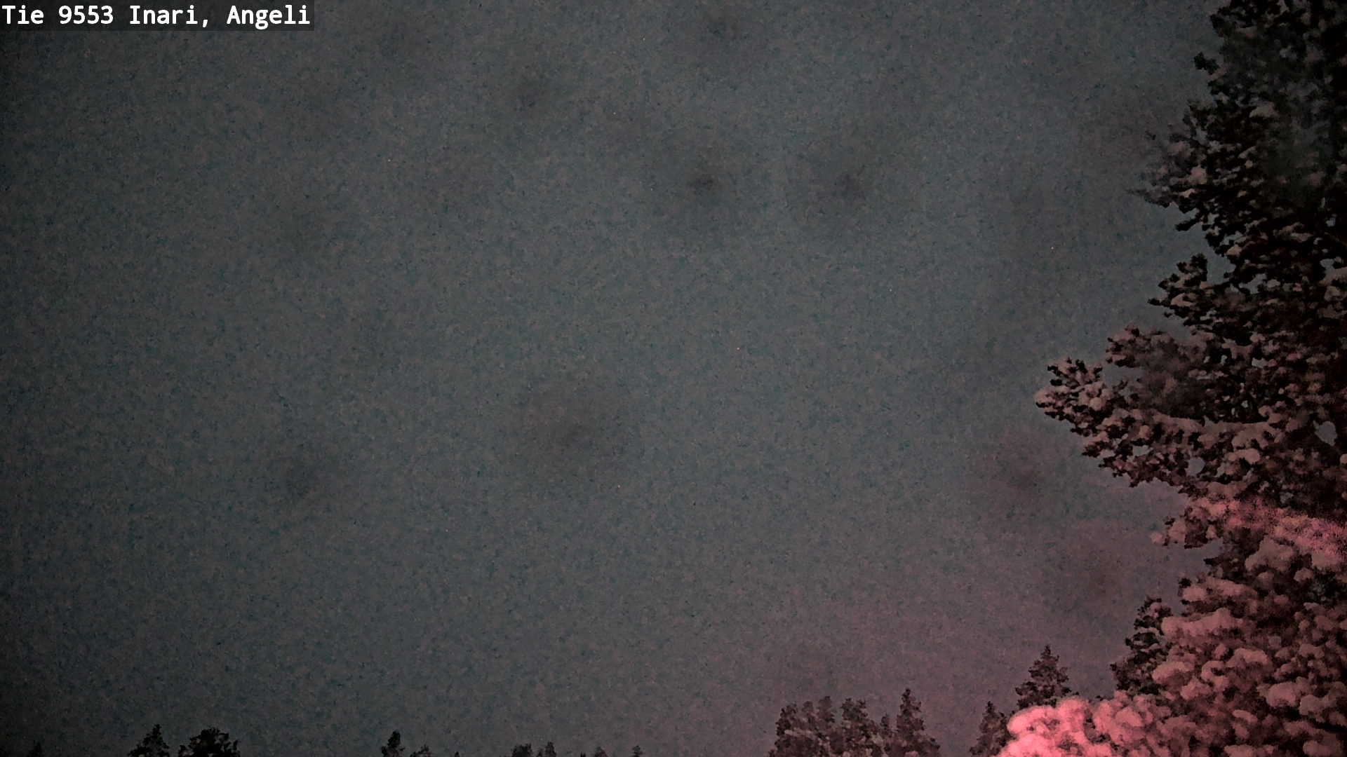 Weather Camera Image Road 9553 Inari, Angeli, Lintupuolivaara, Inari, Lappi