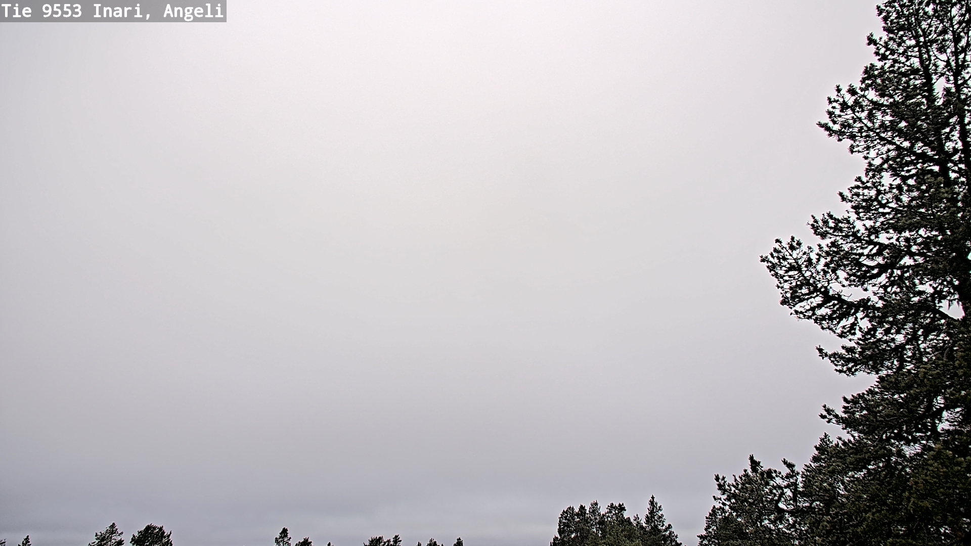 Weather Camera Image Road 9553 Inari, Angeli, Lintupuolivaara, Inari, Lappi