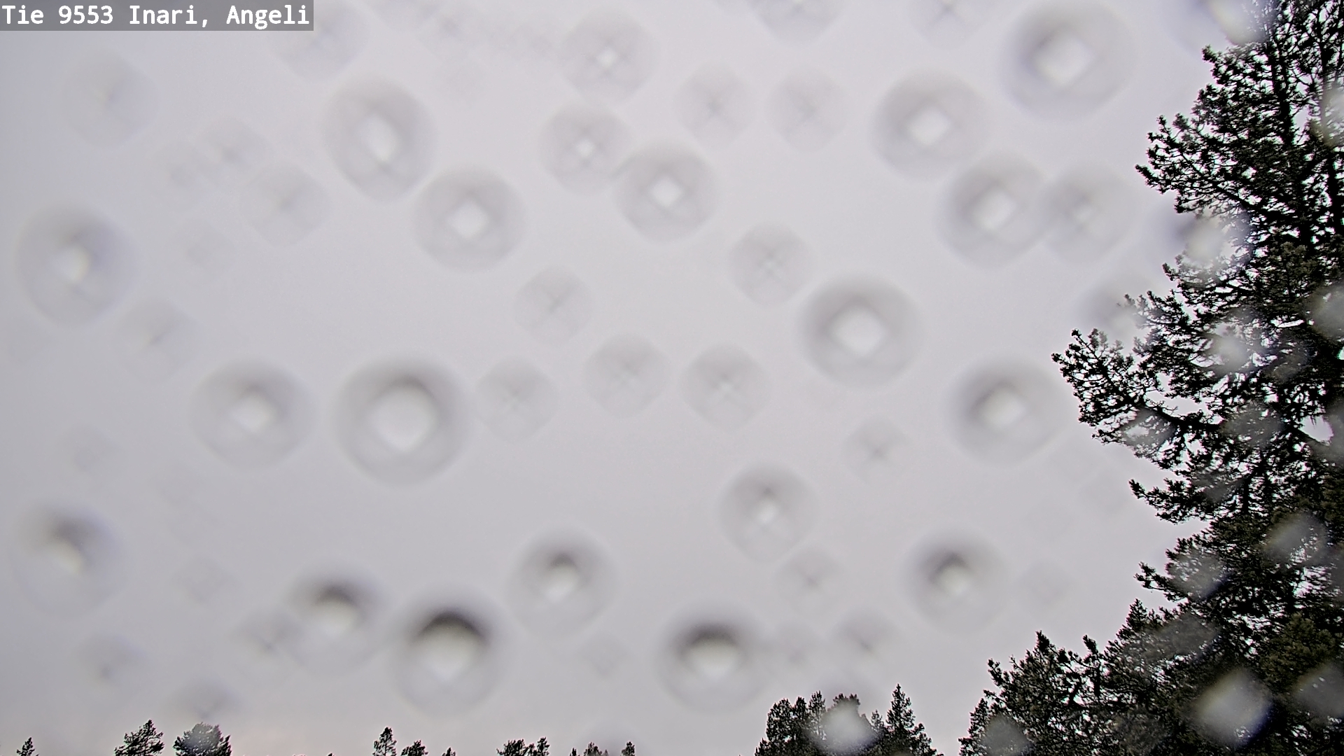 Kelikamerat Kuva Tie 9553 Inari, Angeli, Lintupuolivaara, Inari, Lappi