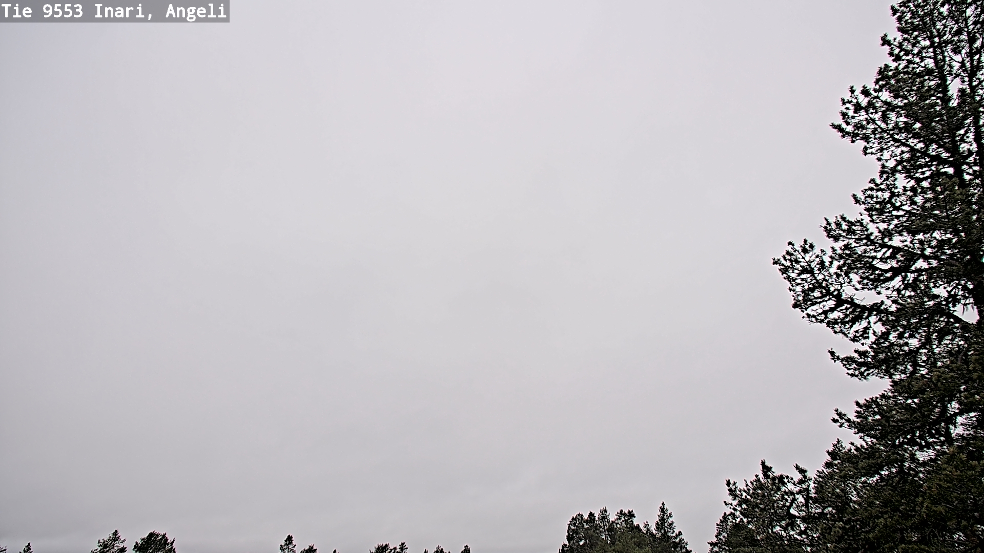 Kelikamerat Kuva Tie 9553 Inari, Angeli, Lintupuolivaara, Inari, Lappi