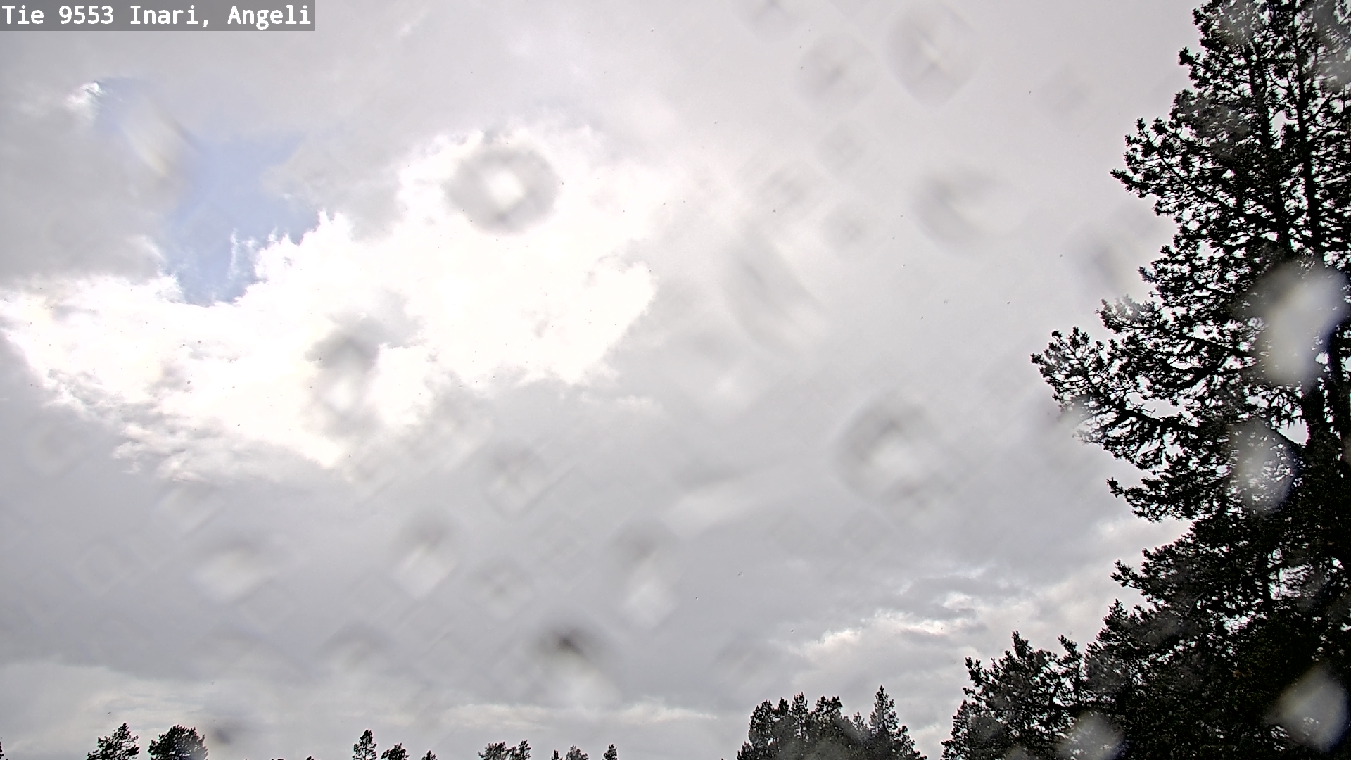 Weather Camera Image Road 9553 Inari, Angeli, Lintupuolivaara, Inari, Lappi