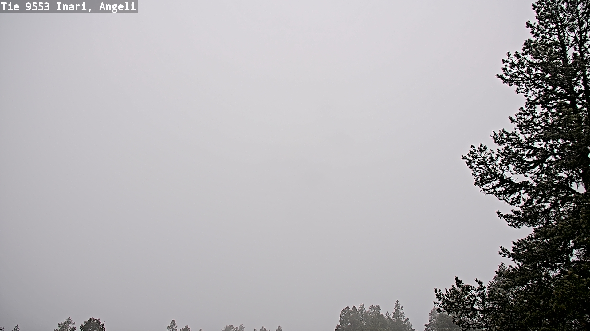 Weather Camera Image Road 9553 Inari, Angeli, Lintupuolivaara, Inari, Lappi