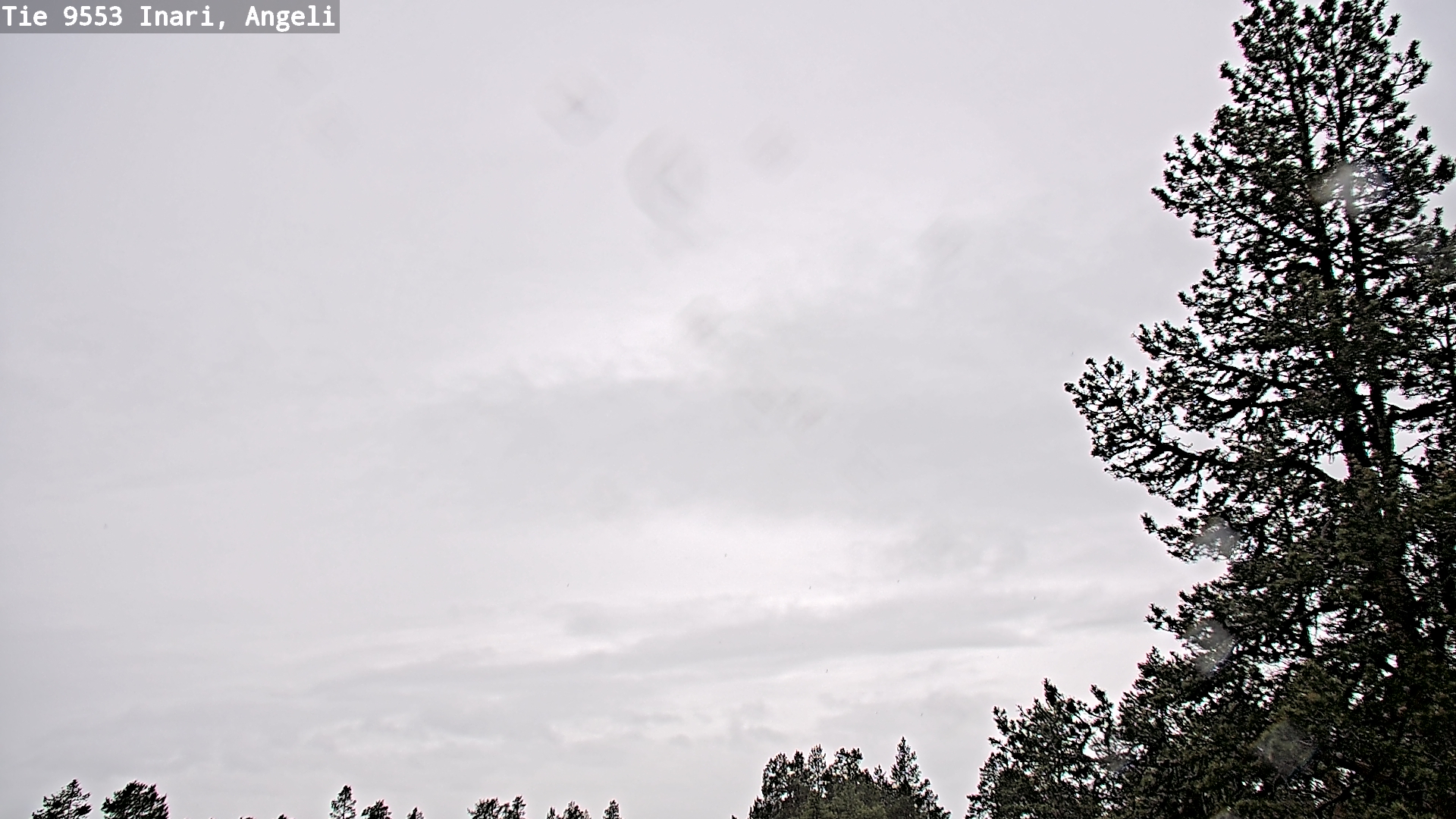 Weather Camera Image Väg 9553 Inari, Angeli, Lintupuolivaara, Inari, Lappi