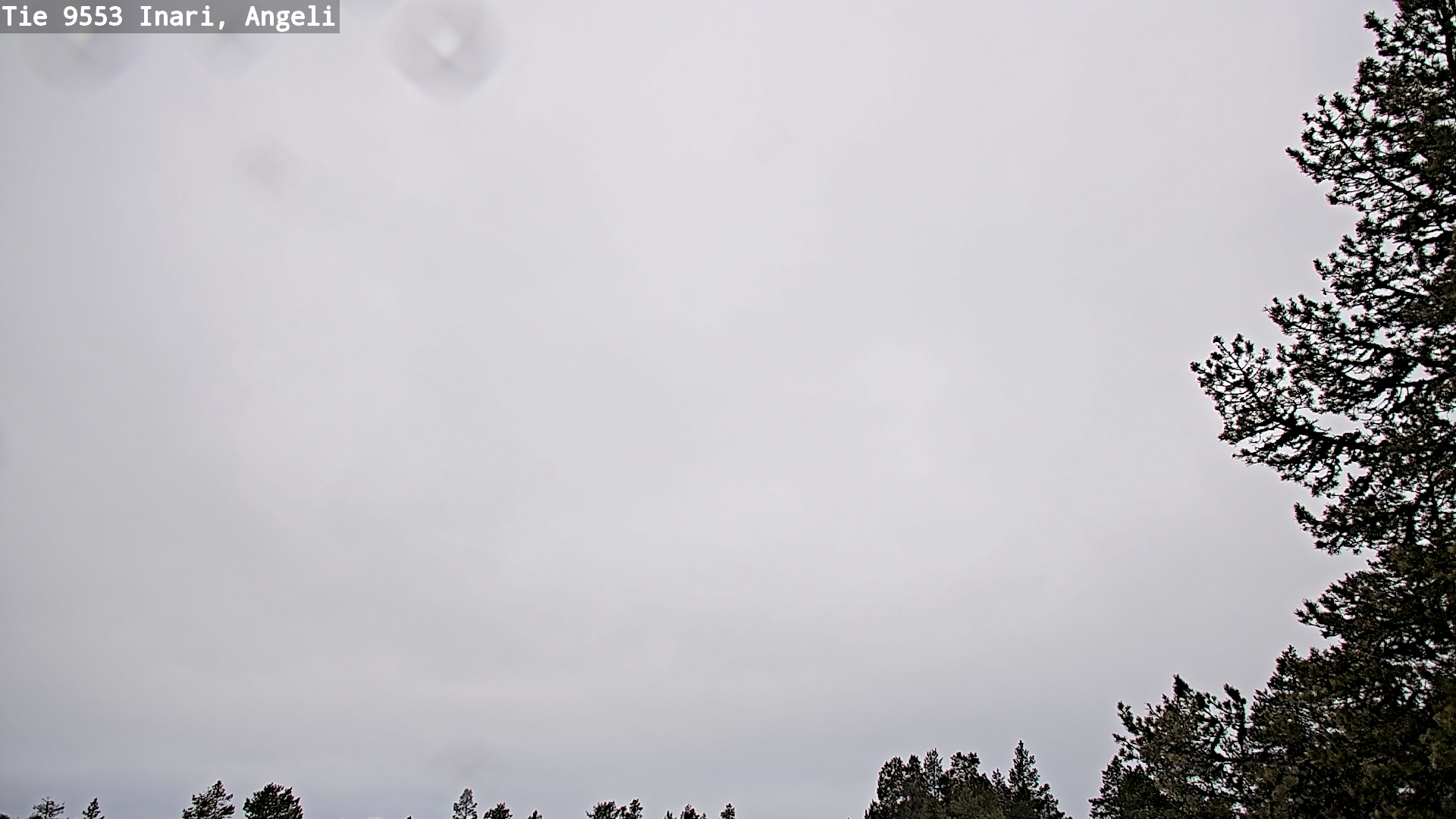 Weather Camera Image Road 9553 Inari, Angeli, Lintupuolivaara, Inari, Lappi