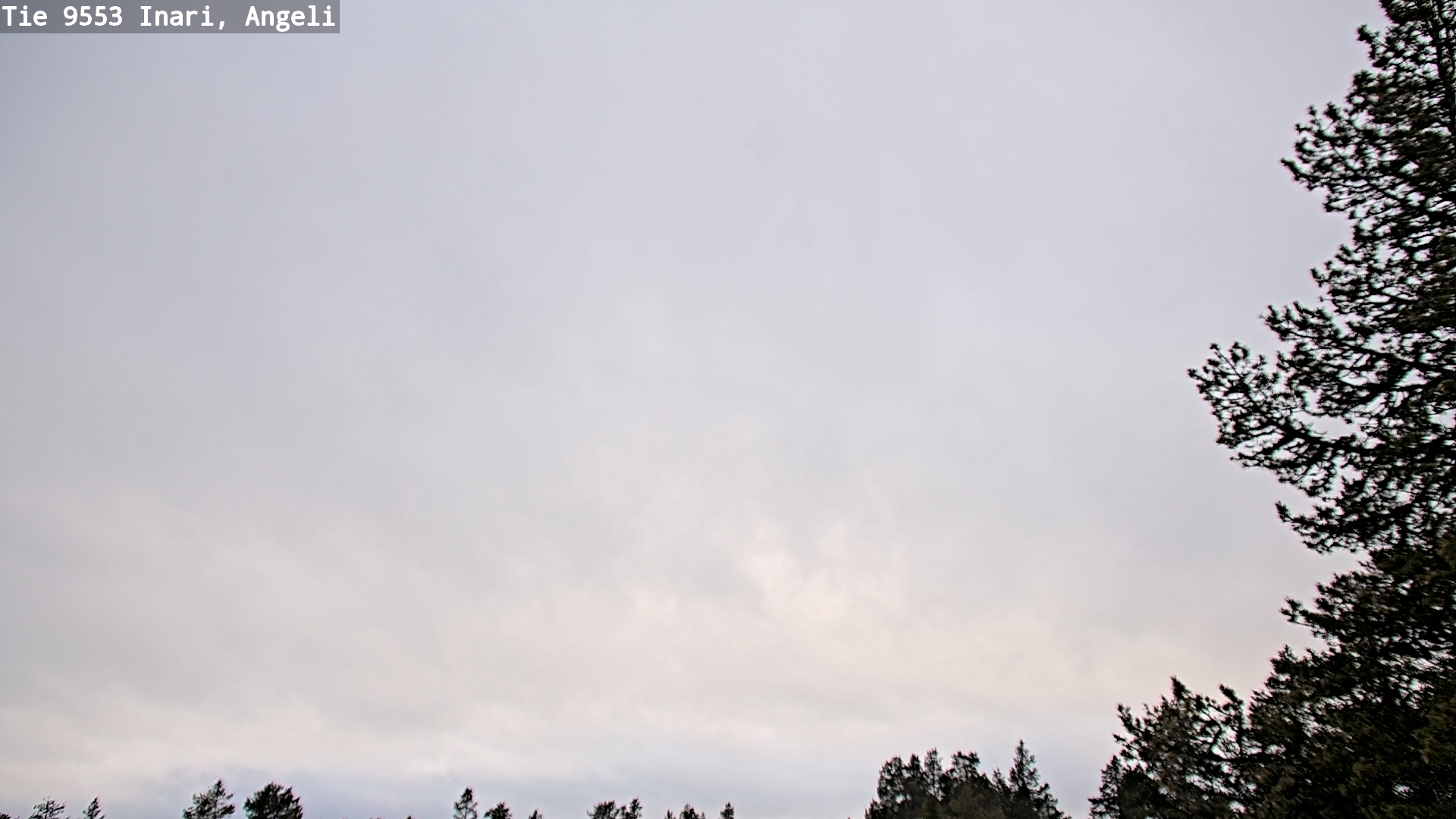 Weather Camera Image Road 9553 Inari, Angeli, Lintupuolivaara, Inari, Lappi