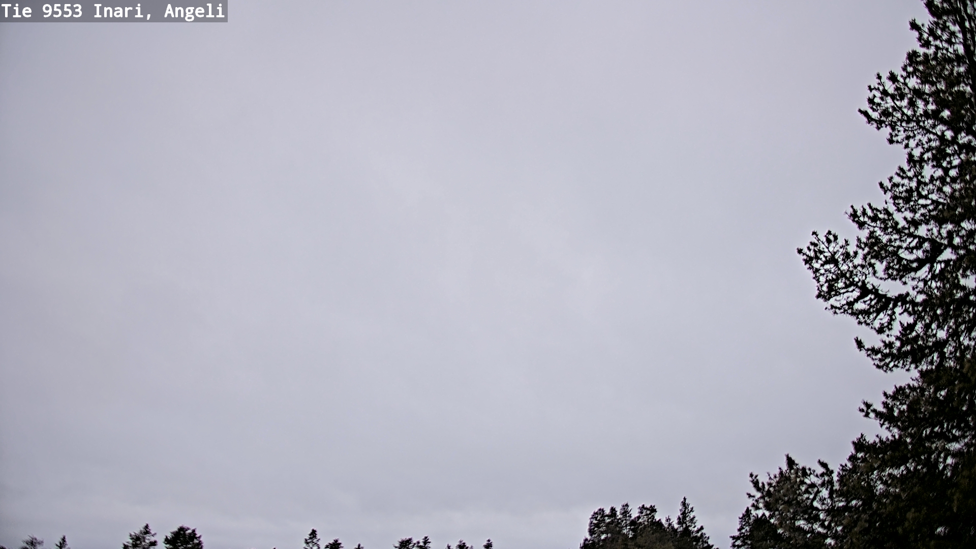 Weather Camera Image Väg 9553 Inari, Angeli, Lintupuolivaara, Inari, Lappi