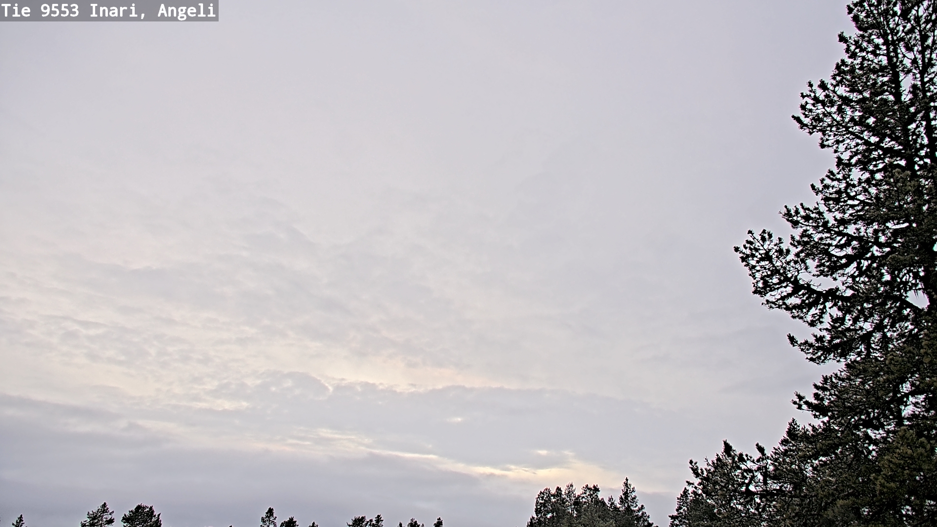 Kelikamerat Kuva Tie 9553 Inari, Angeli, Lintupuolivaara, Inari, Lappi