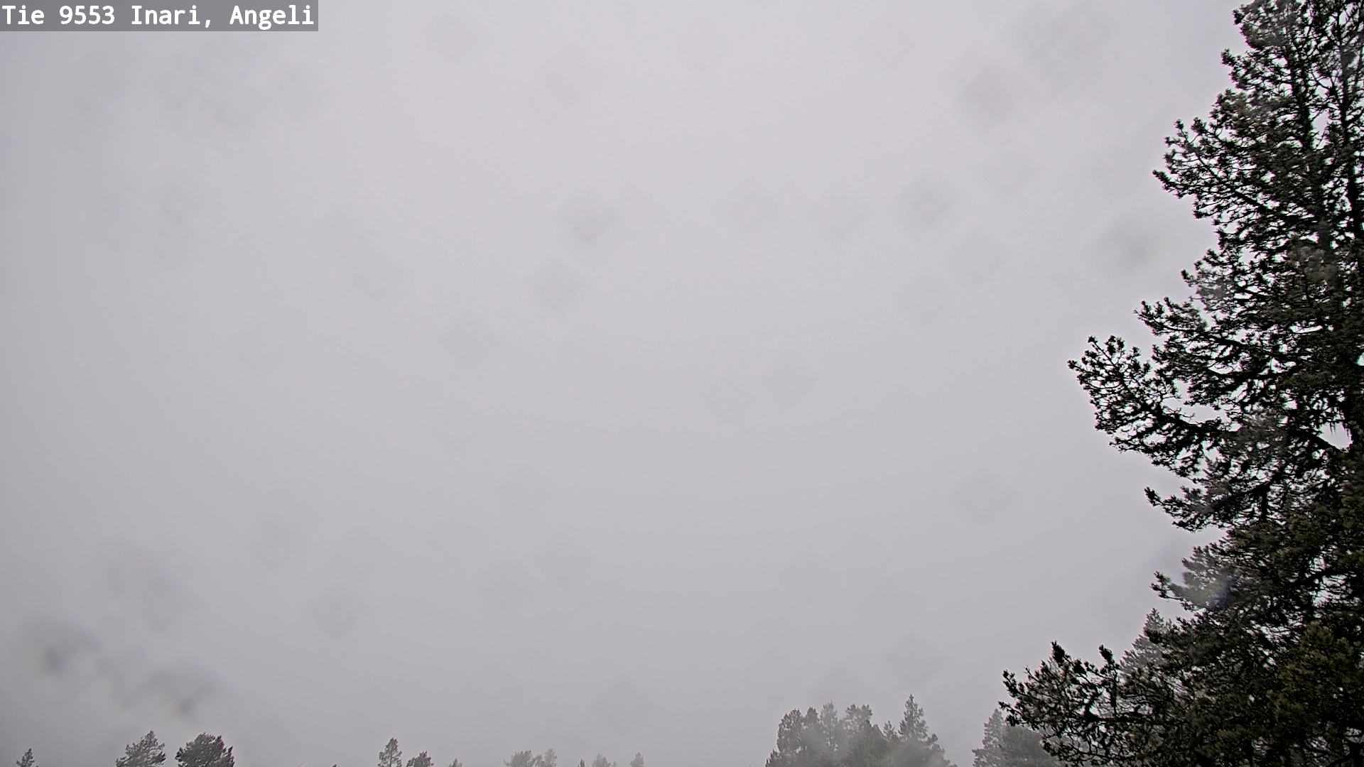 Kelikamerat Kuva Tie 9553 Inari, Angeli, Lintupuolivaara, Inari, Lappi