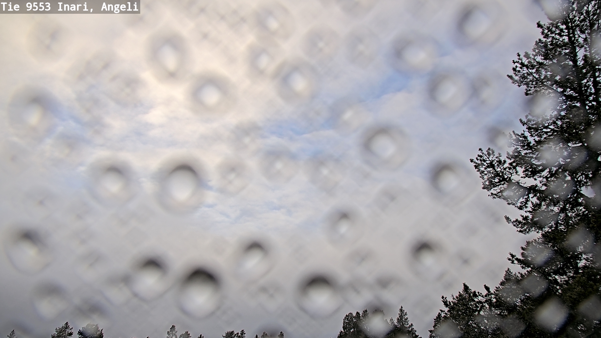 Kelikamerat Kuva Tie 9553 Inari, Angeli, Lintupuolivaara, Inari, Lappi