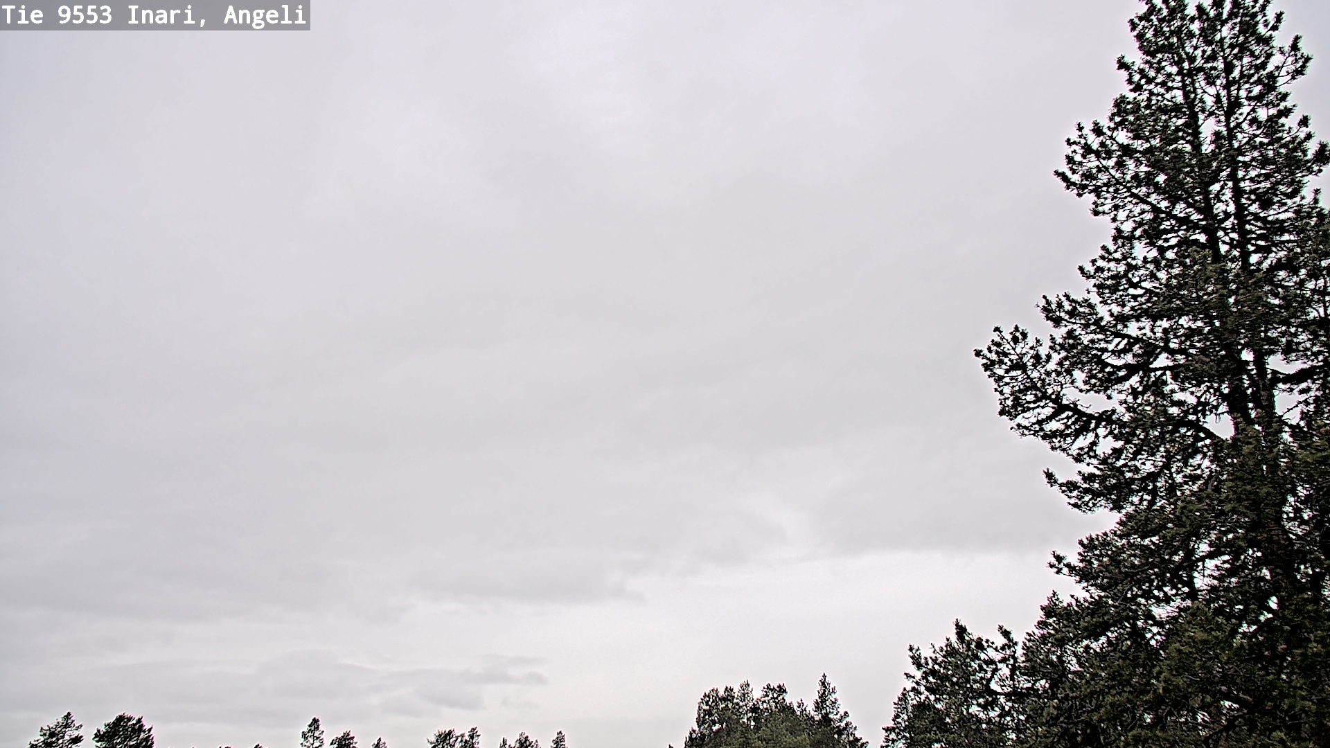 Weather Camera Image Väg 9553 Inari, Angeli, Lintupuolivaara, Inari, Lappi